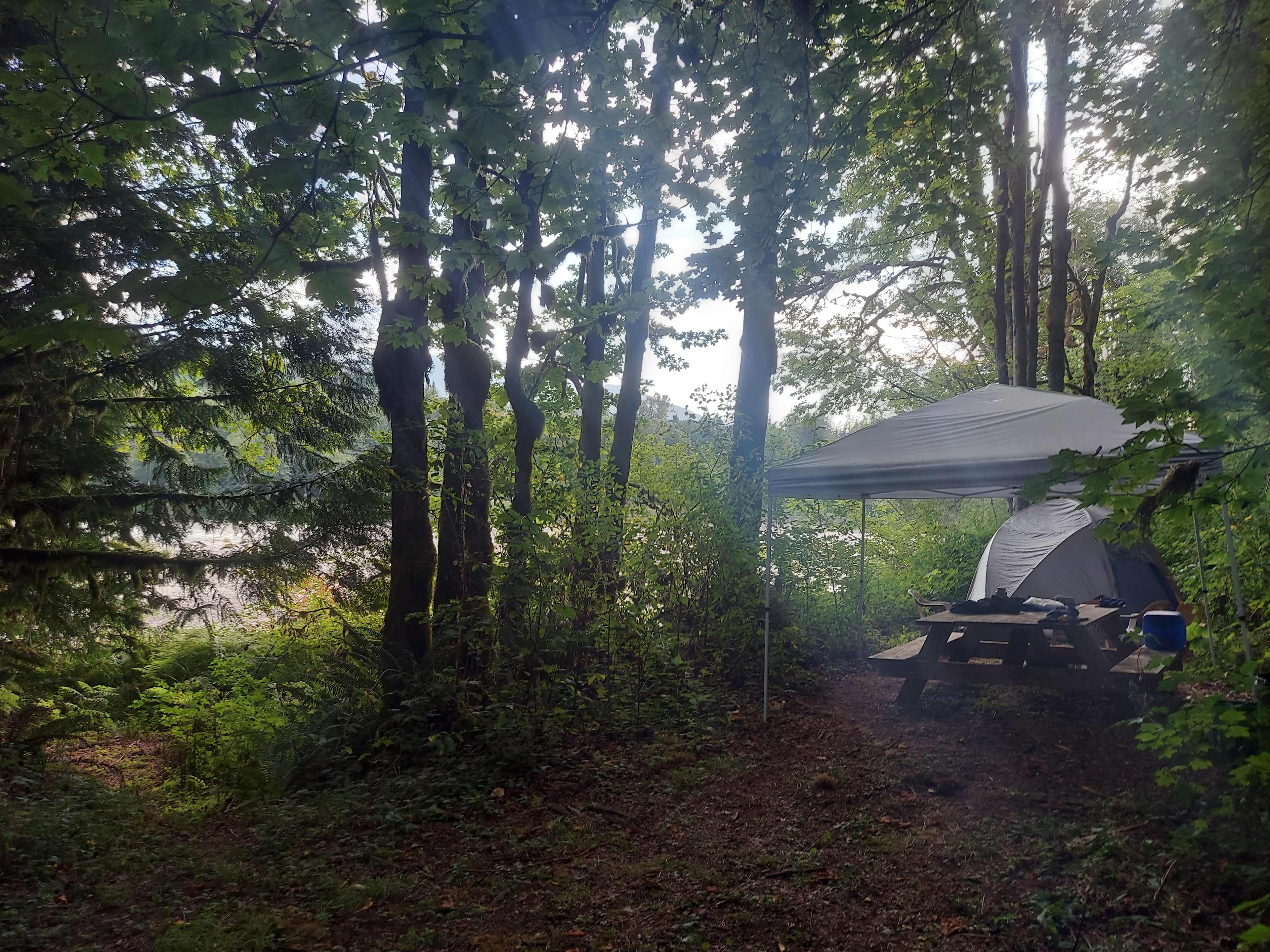Picture of the site