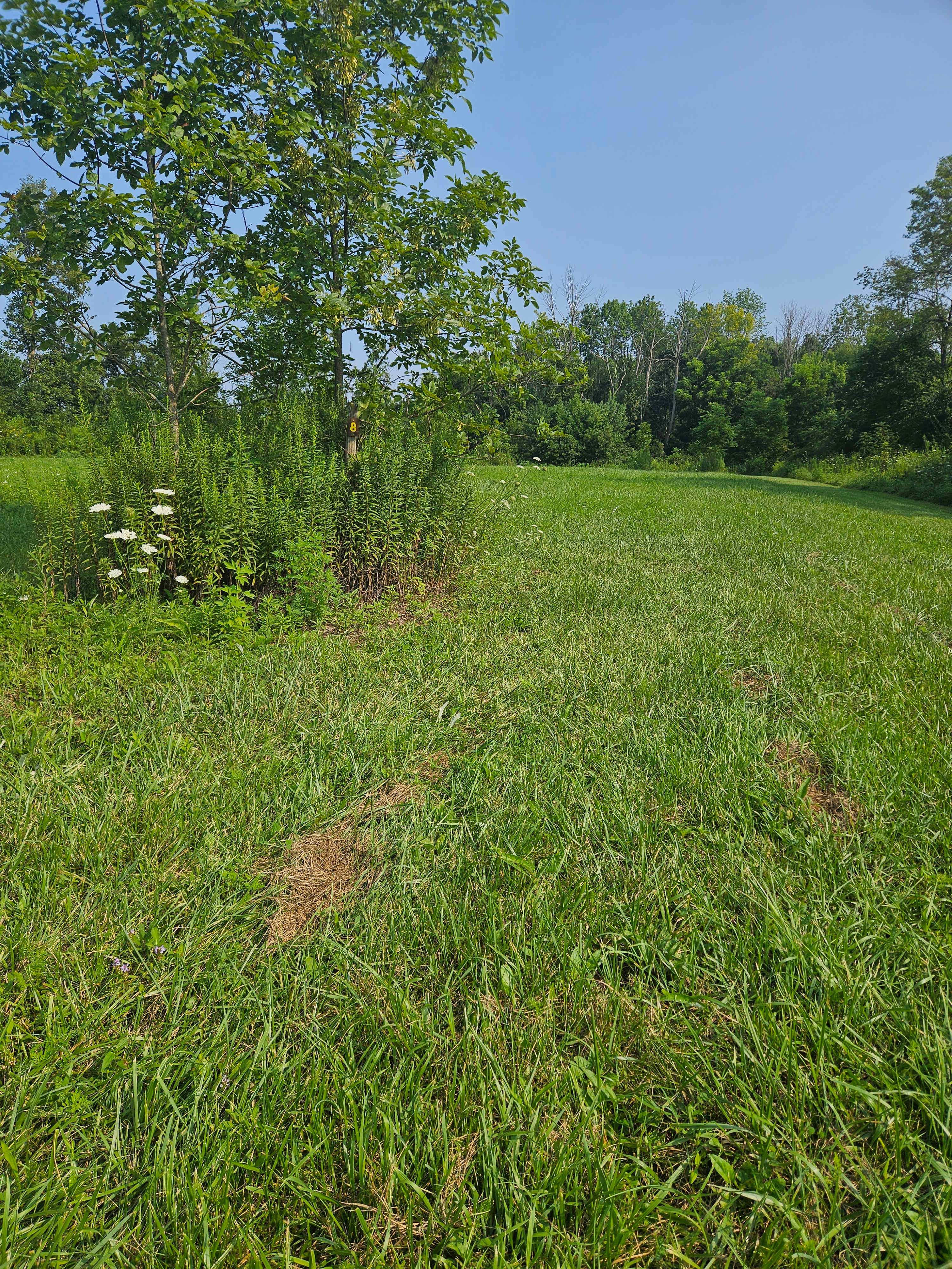 Sugar Maple Grove Campground