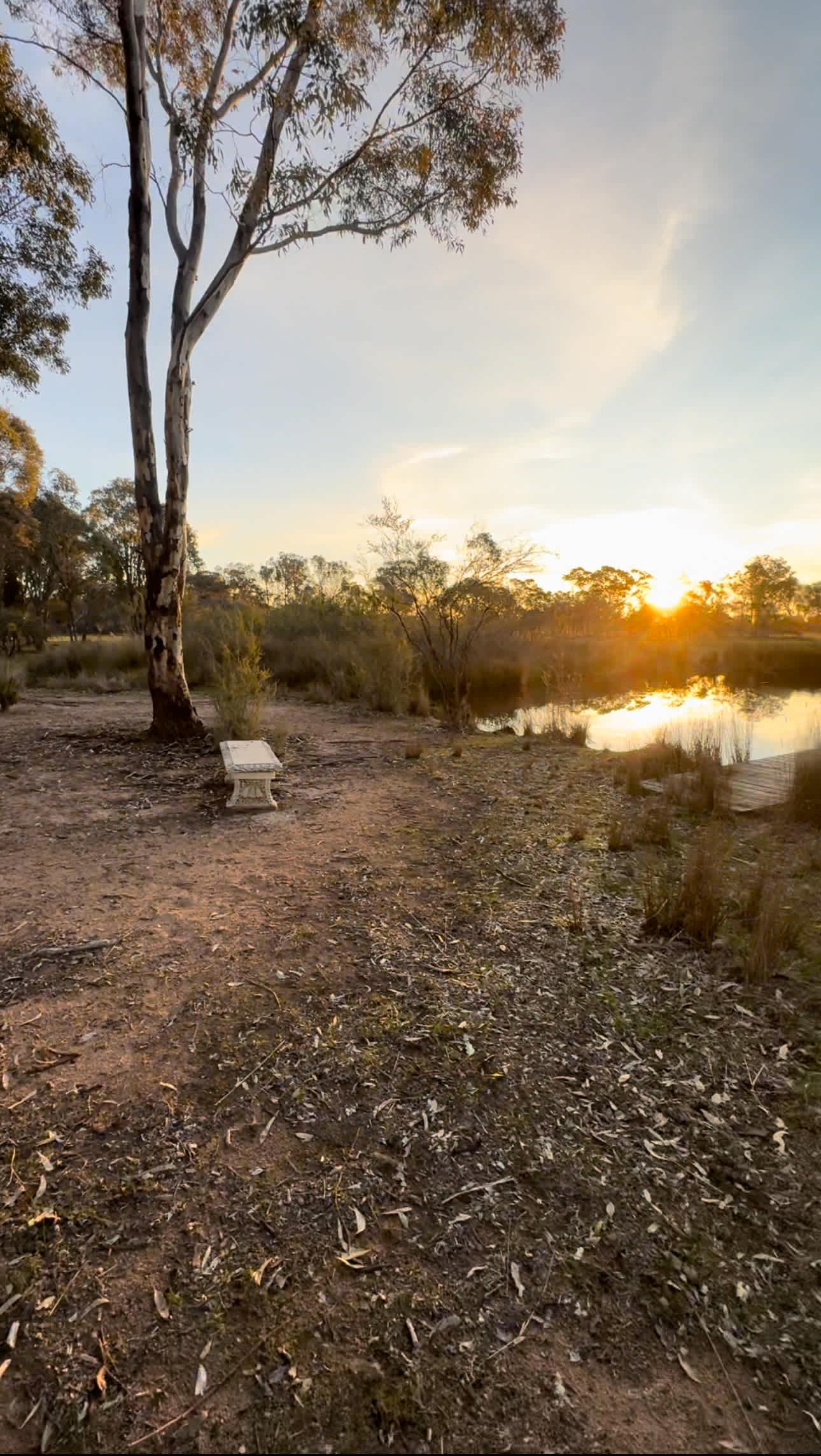 Viewing seat for spring fed pond
