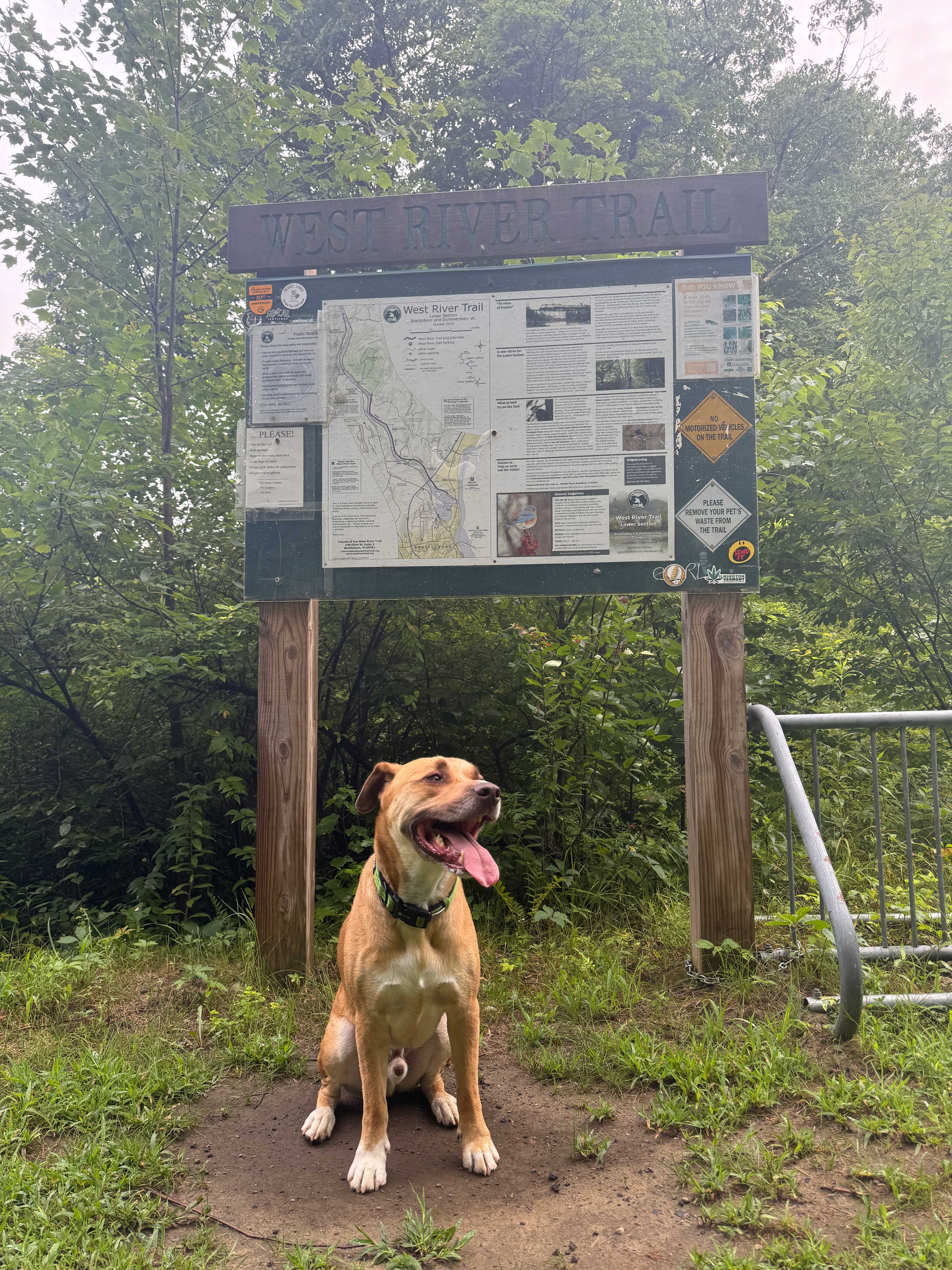 Picture of the site