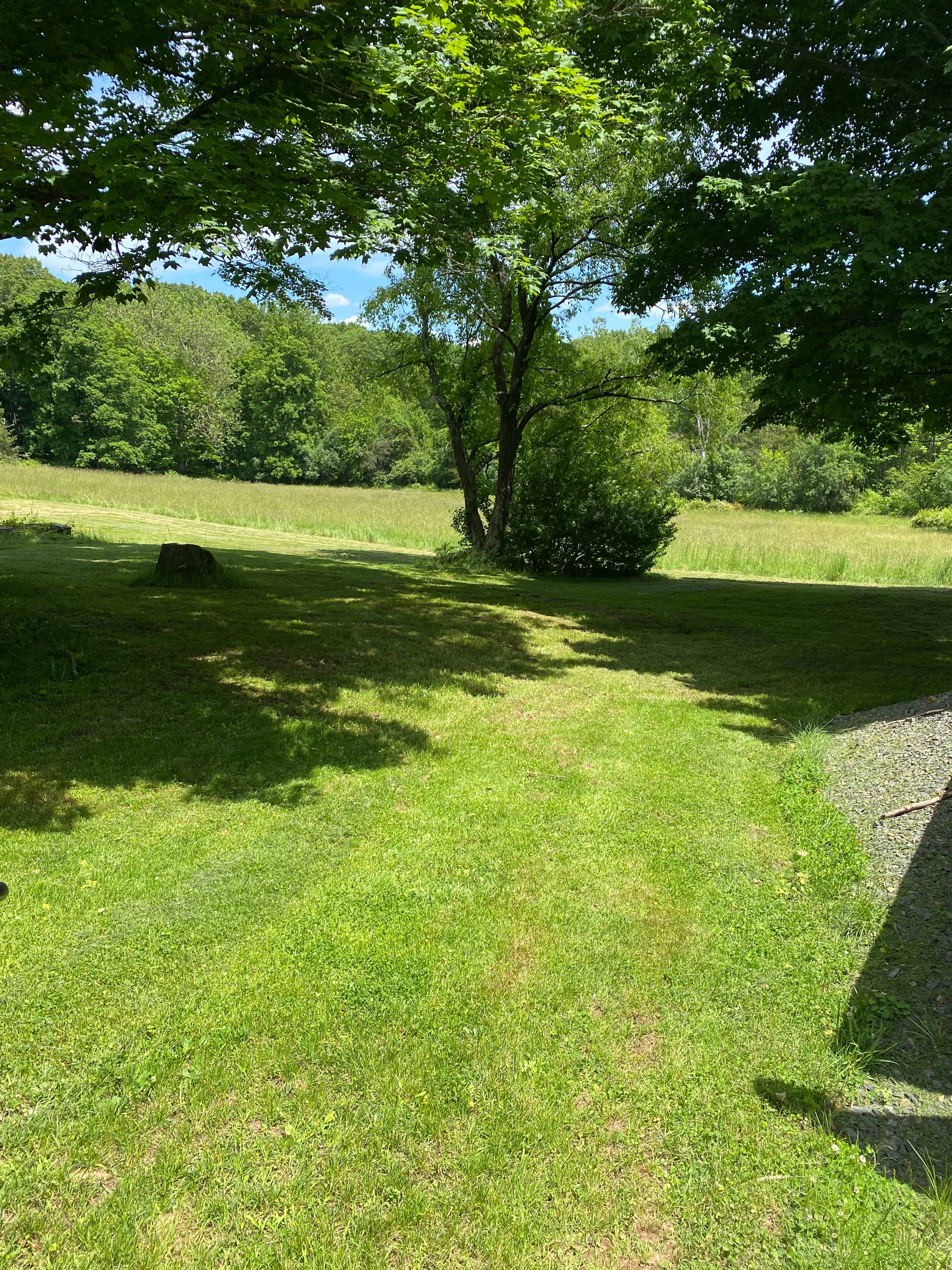 Greener Pastures Camp