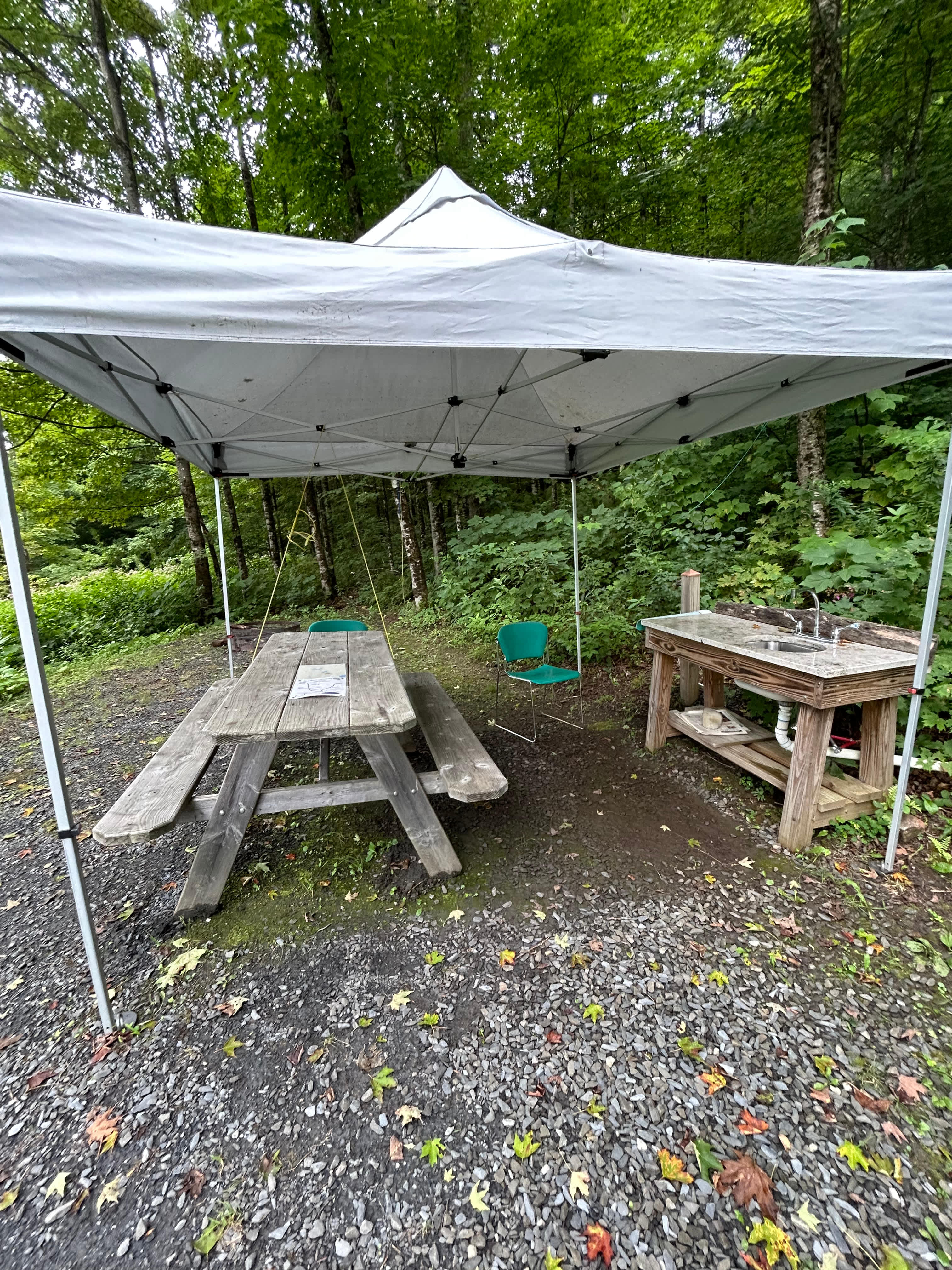 Site 4