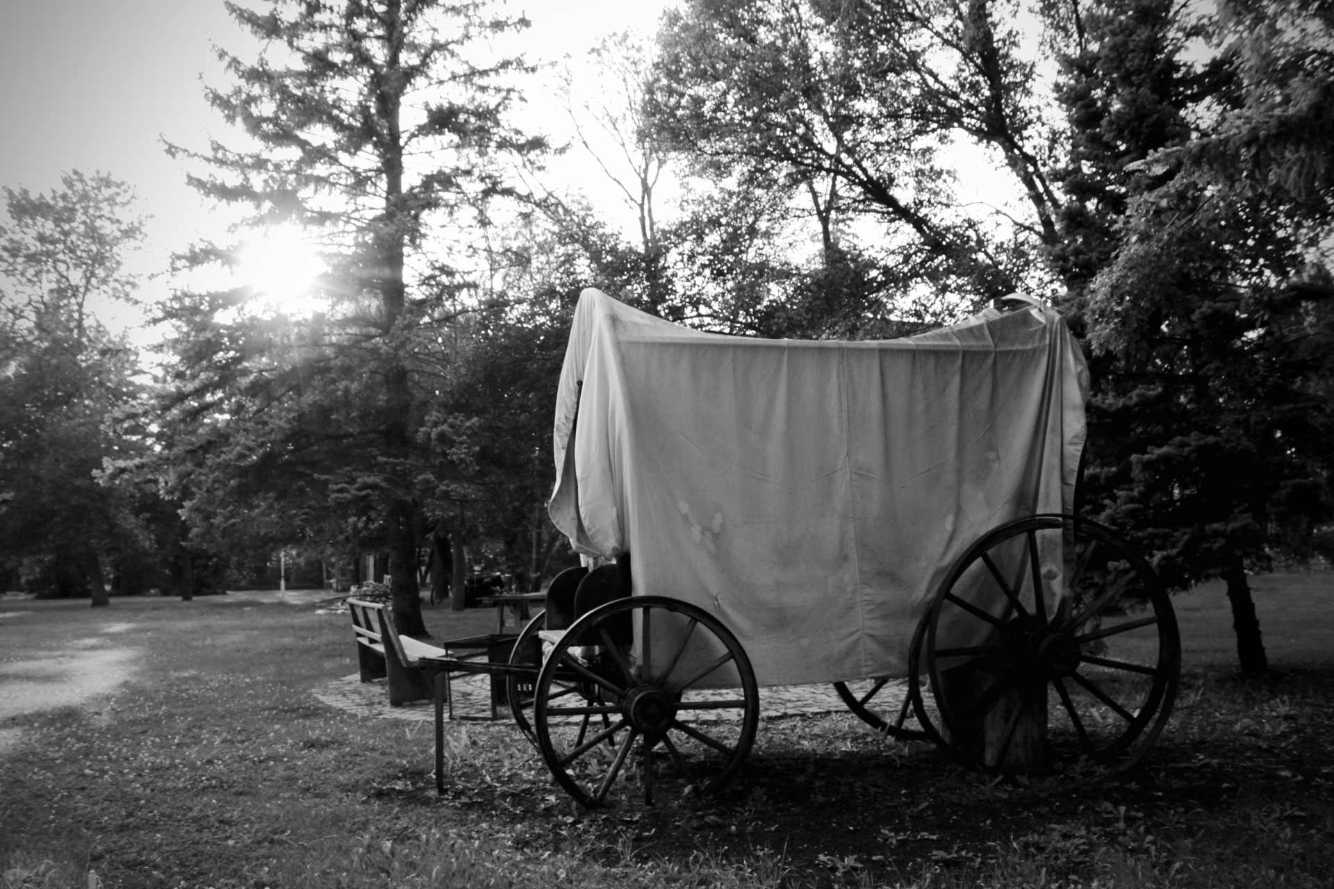 Blacknot Farm