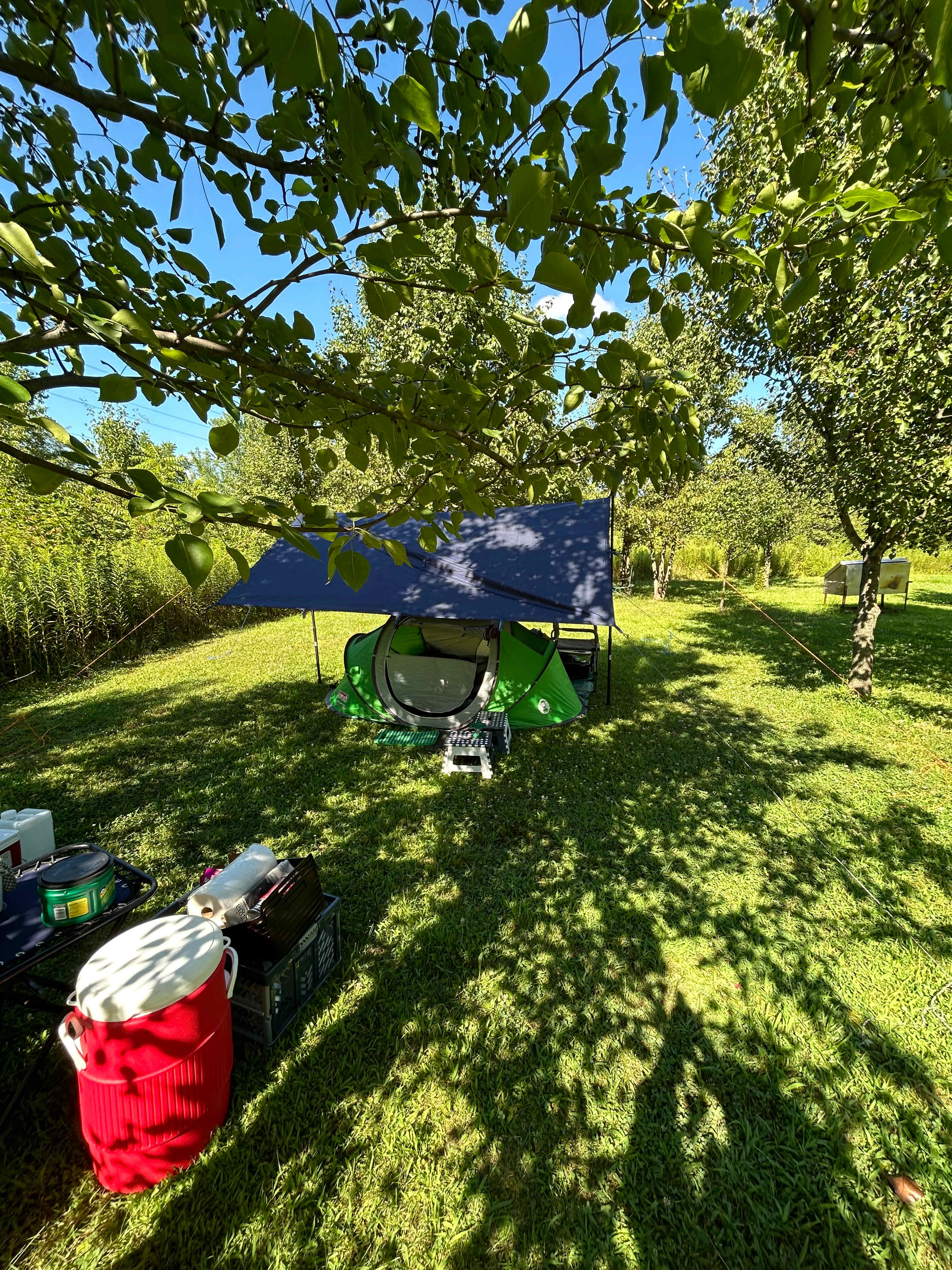 Picture of the site