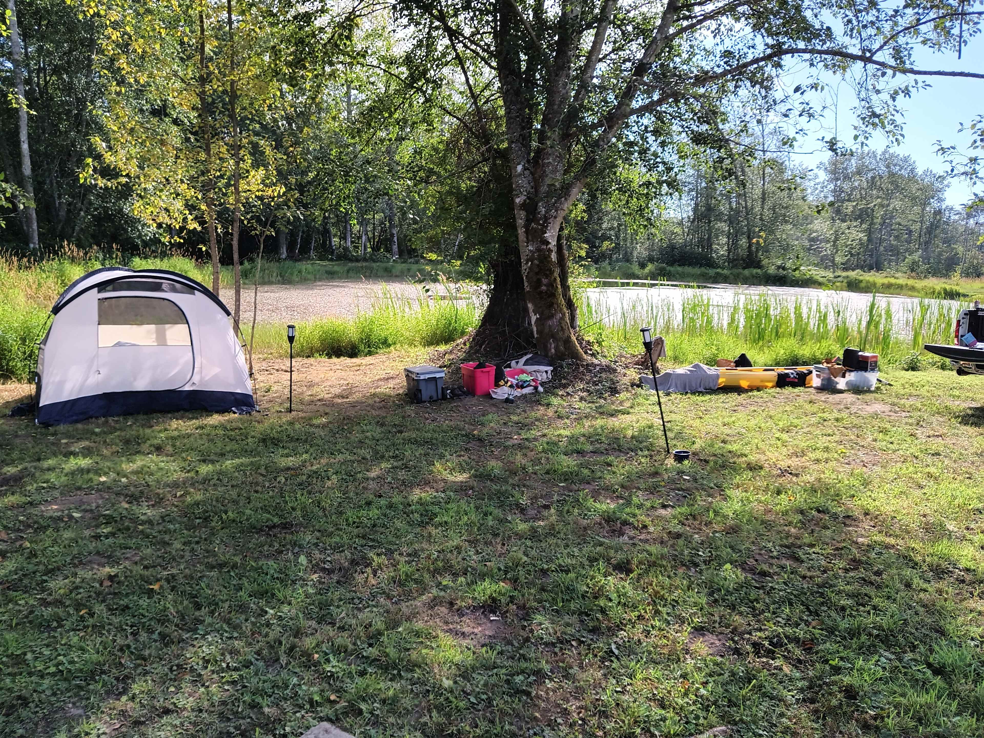Happy Frog Springs/Hobson Meadows
