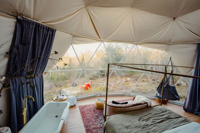 Forest Shore Domes