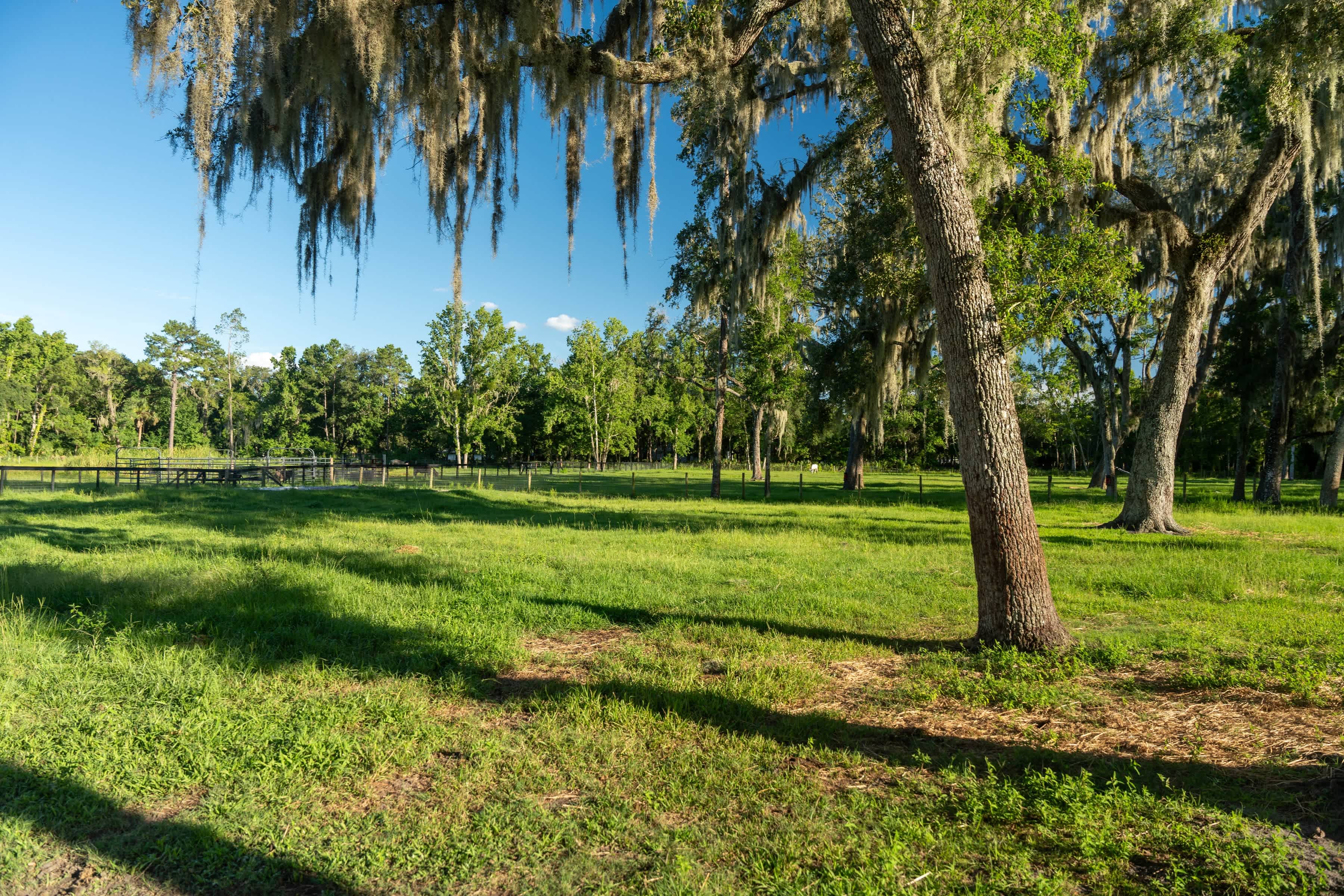 Family Farm Close to Everything!