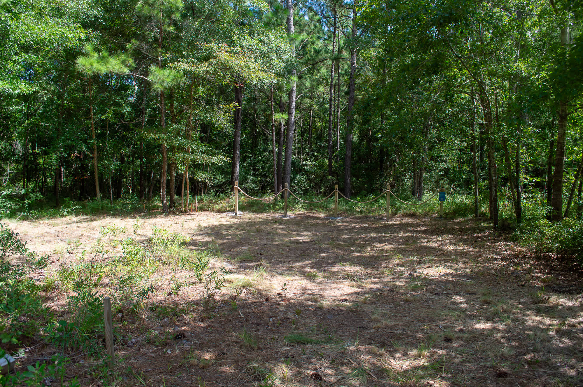 Circe Creek