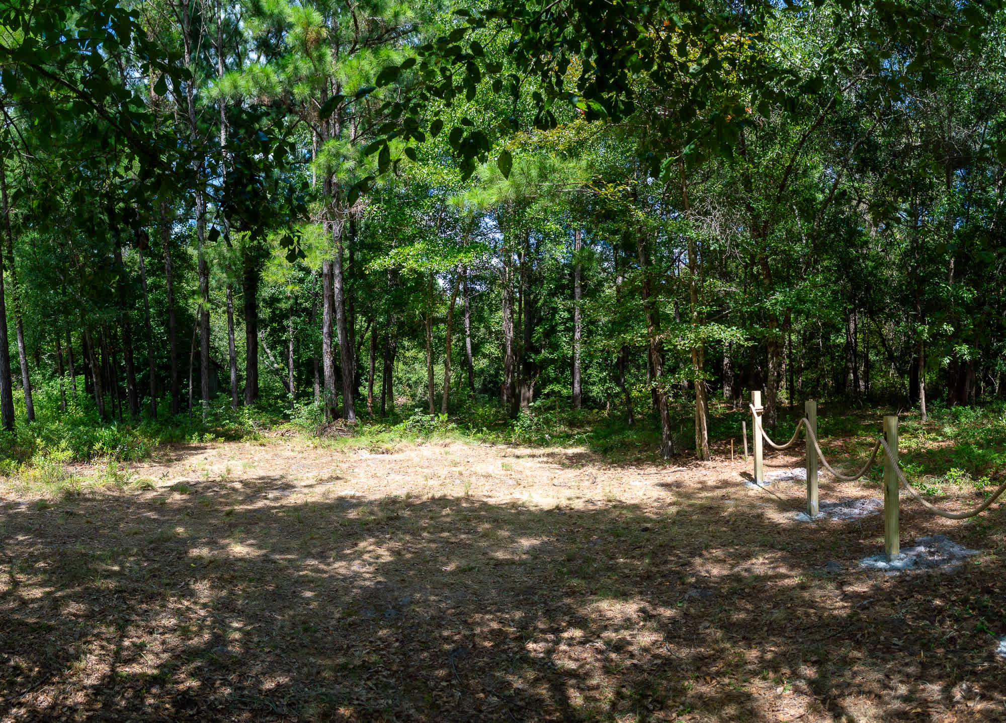 Circe Creek