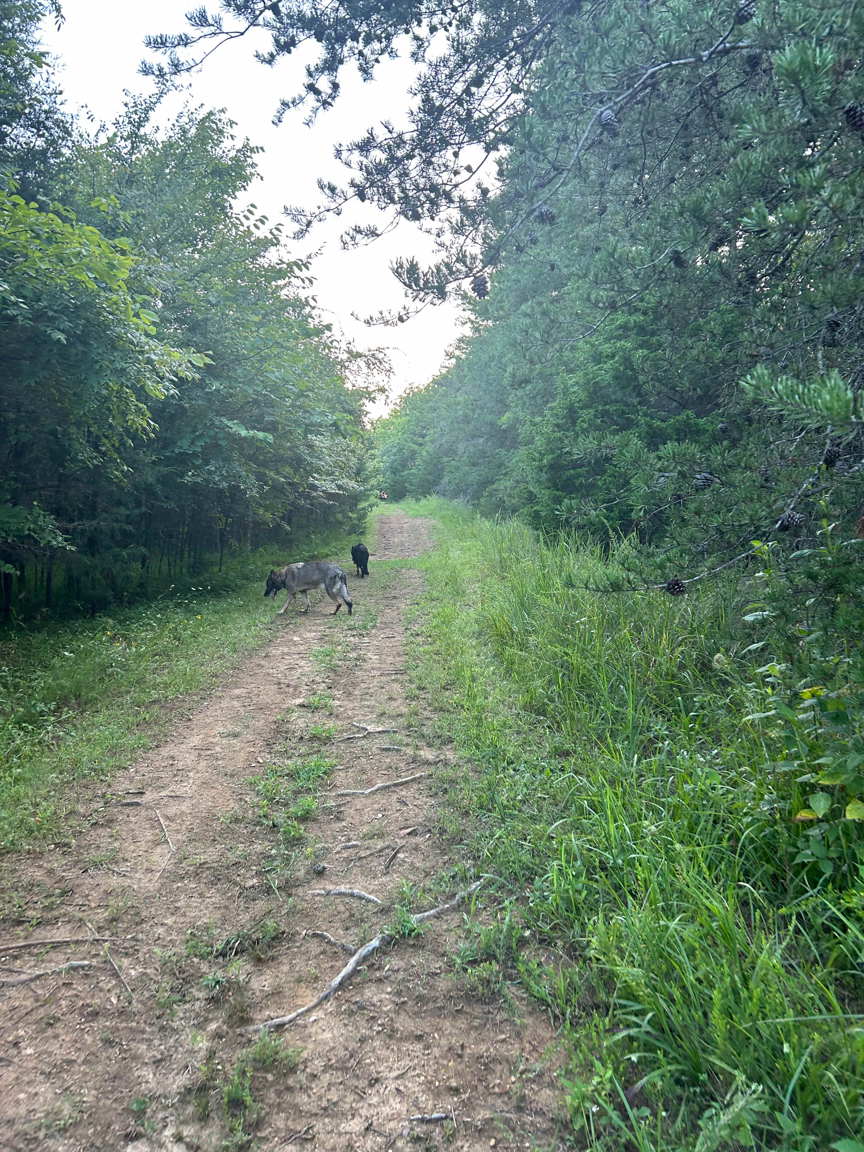 Paradise Farm RV Site