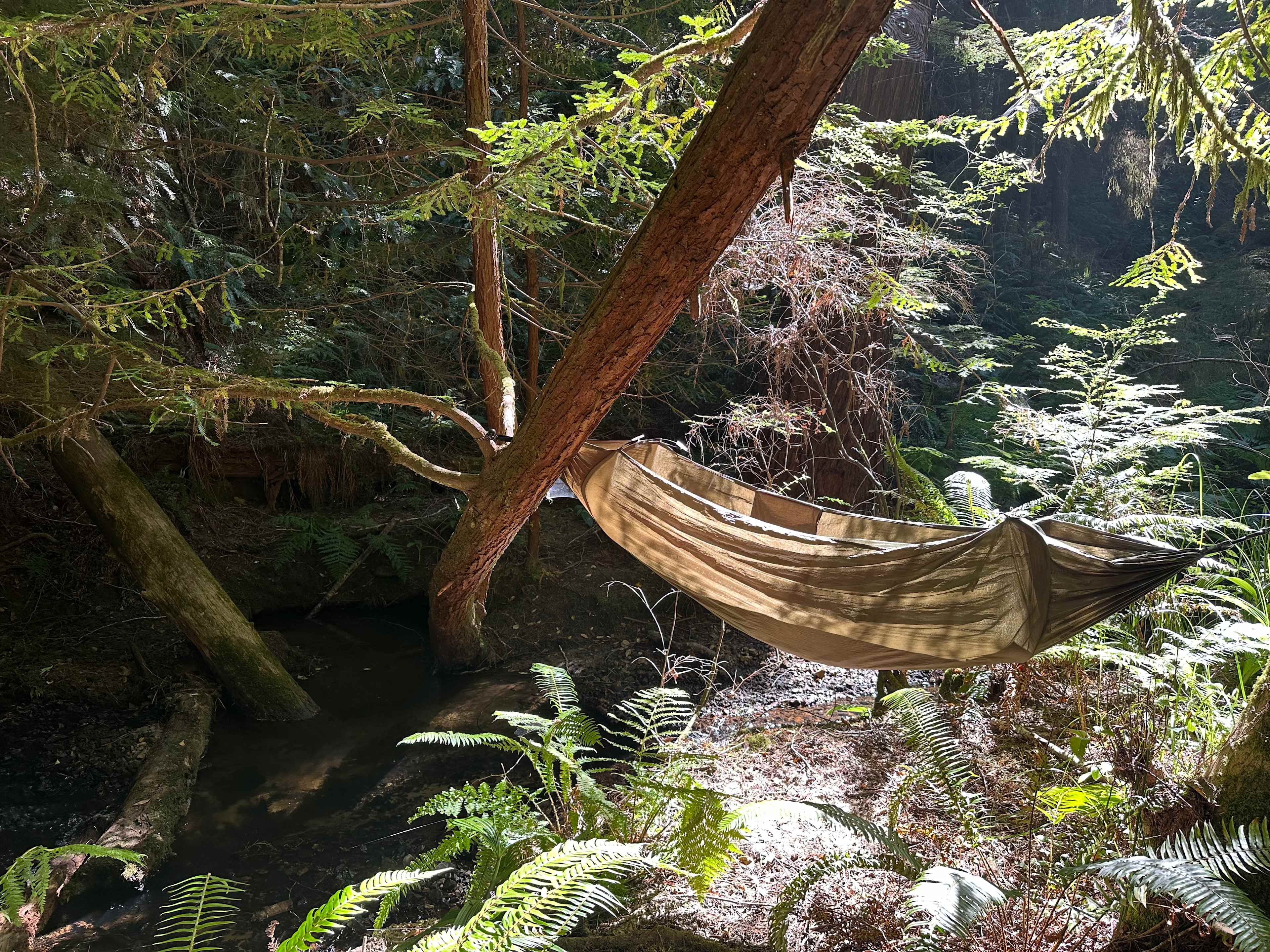 Bigfoot’s Coastal Hideaway