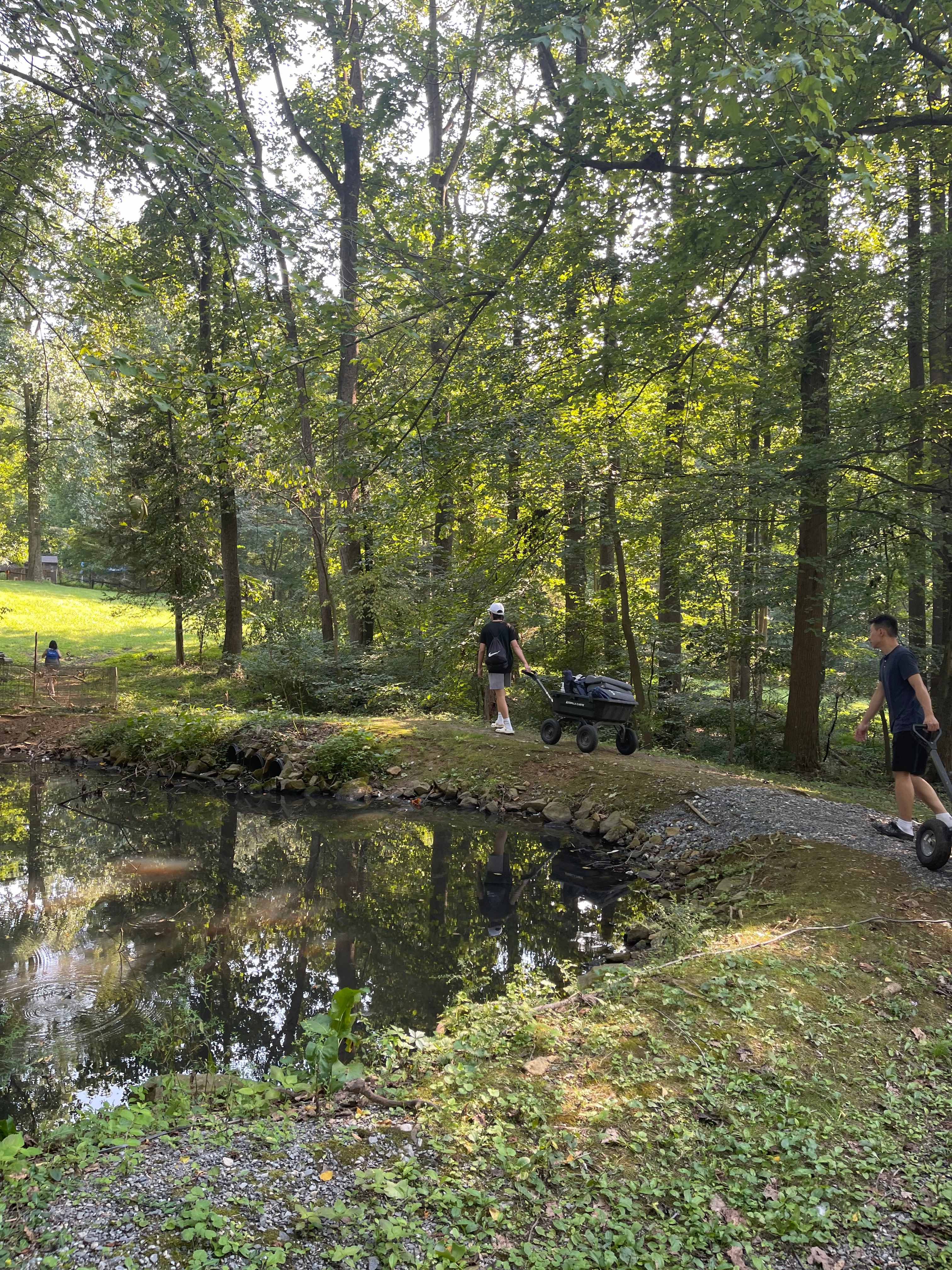 Picture of the site
