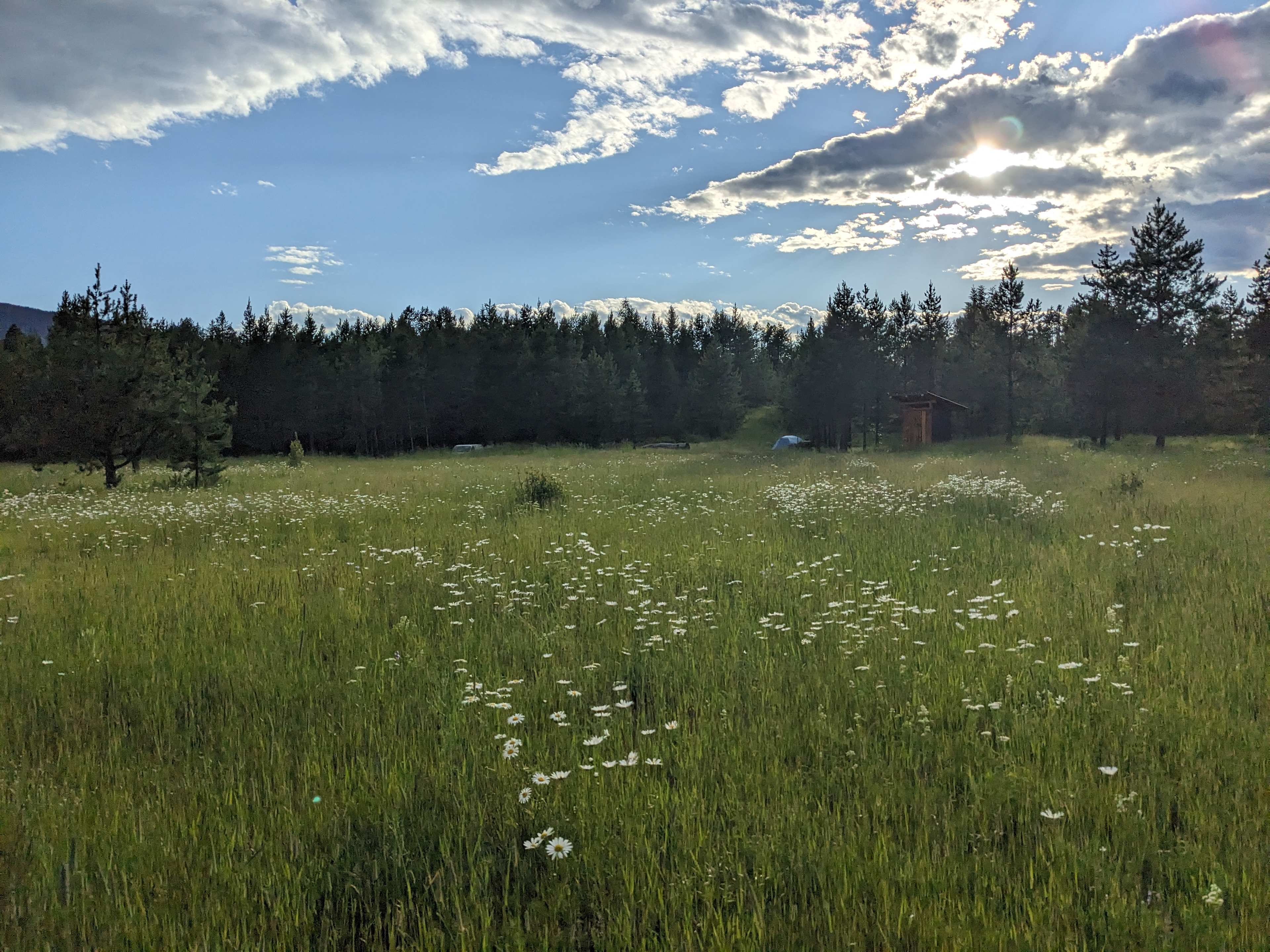 Picture of the site