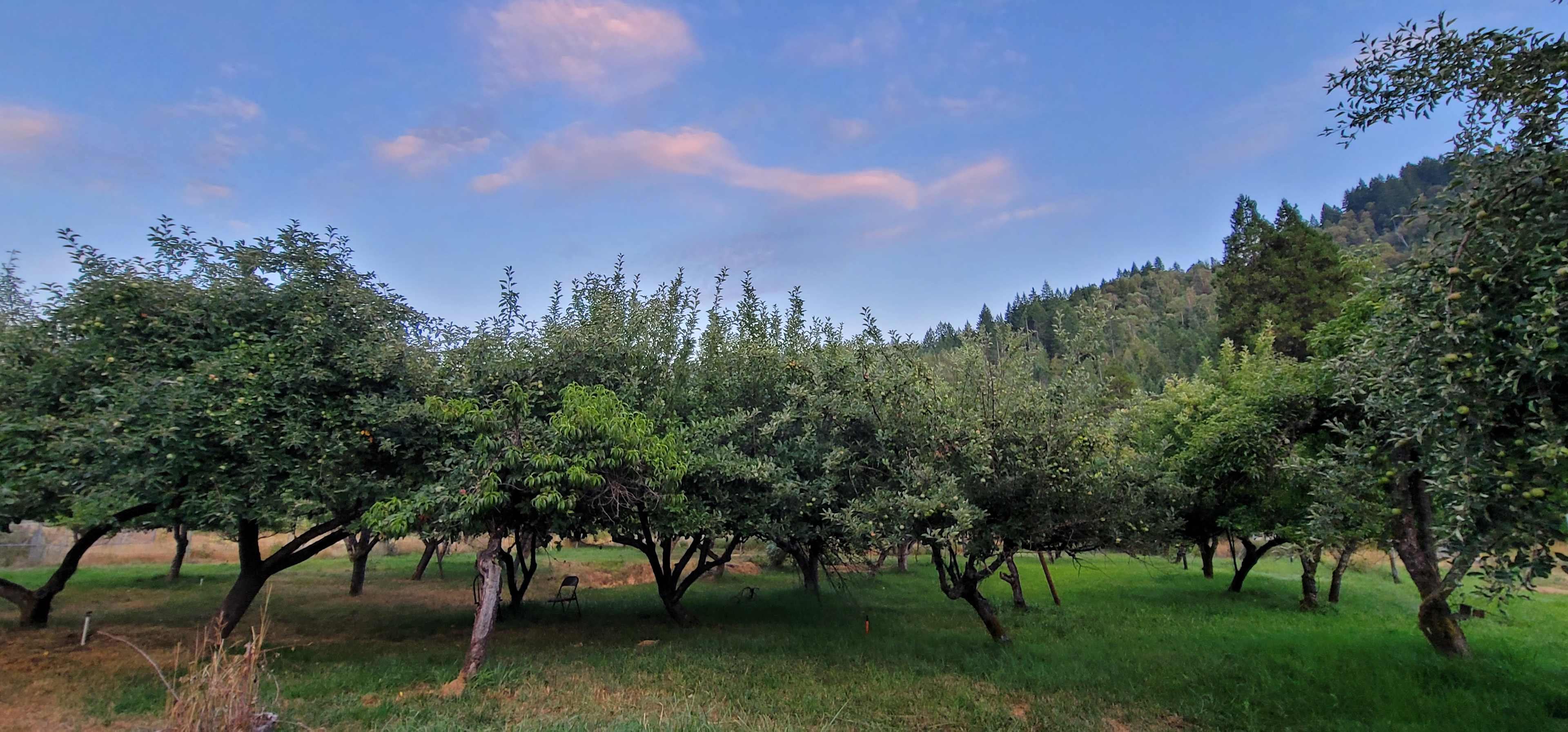 Holistic Harmony Farm