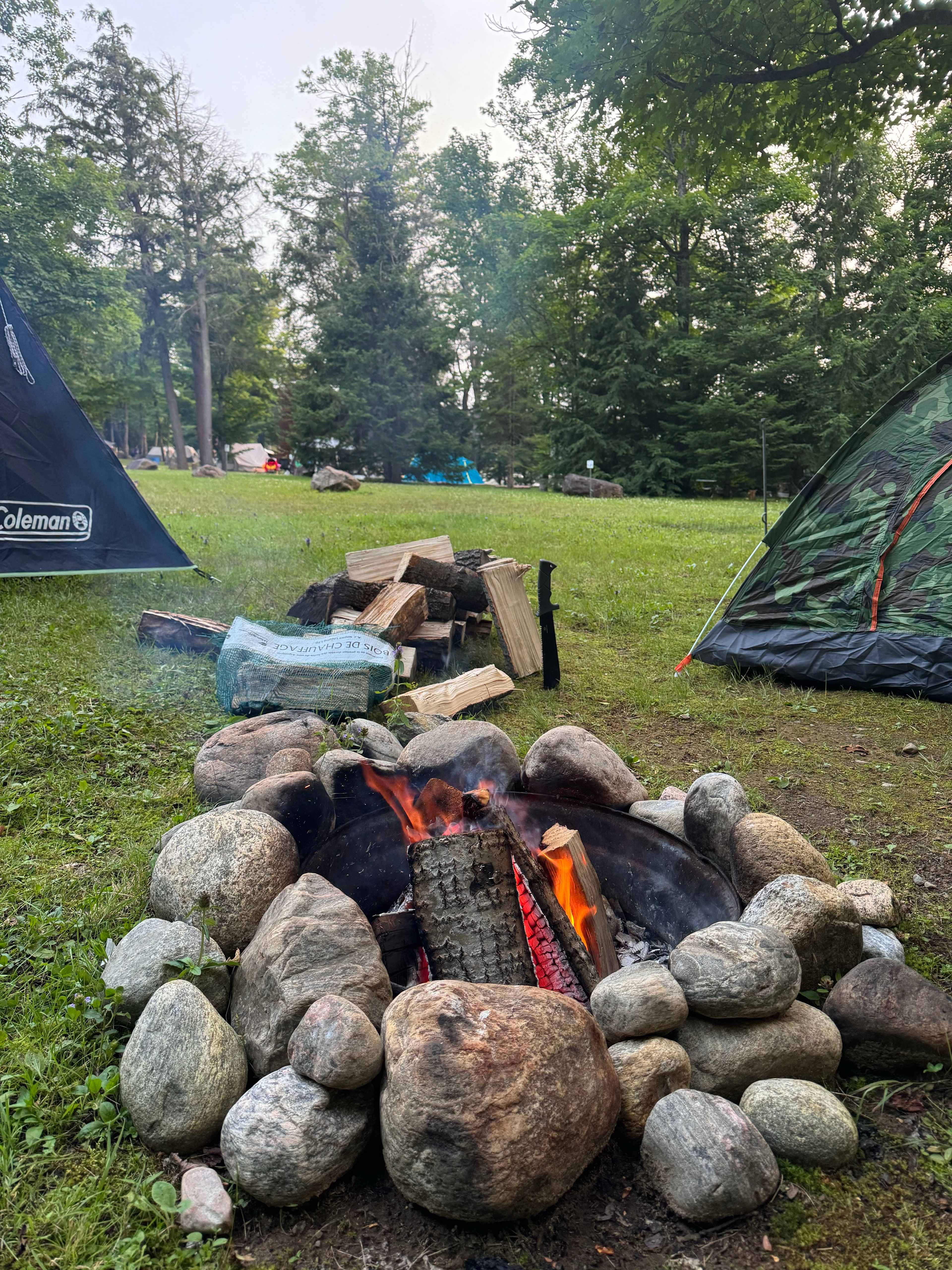 Picture of the site