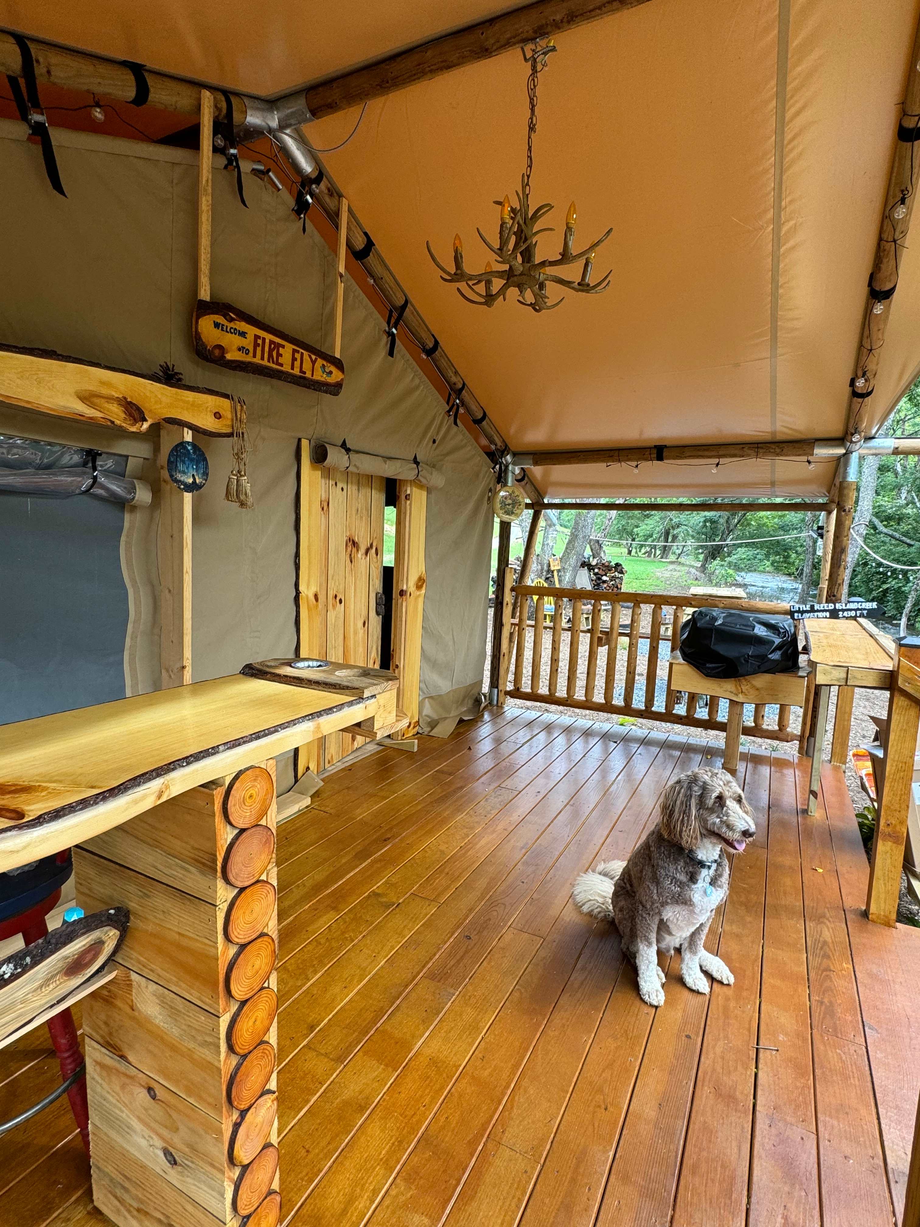 Firefly  tent on the creek bank