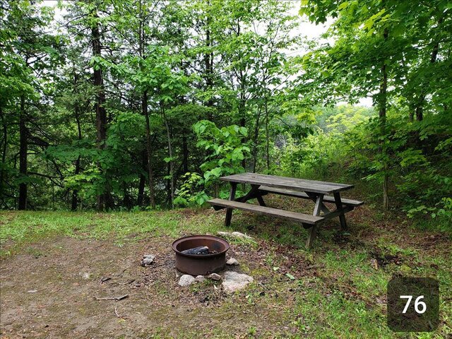 Picture of the site