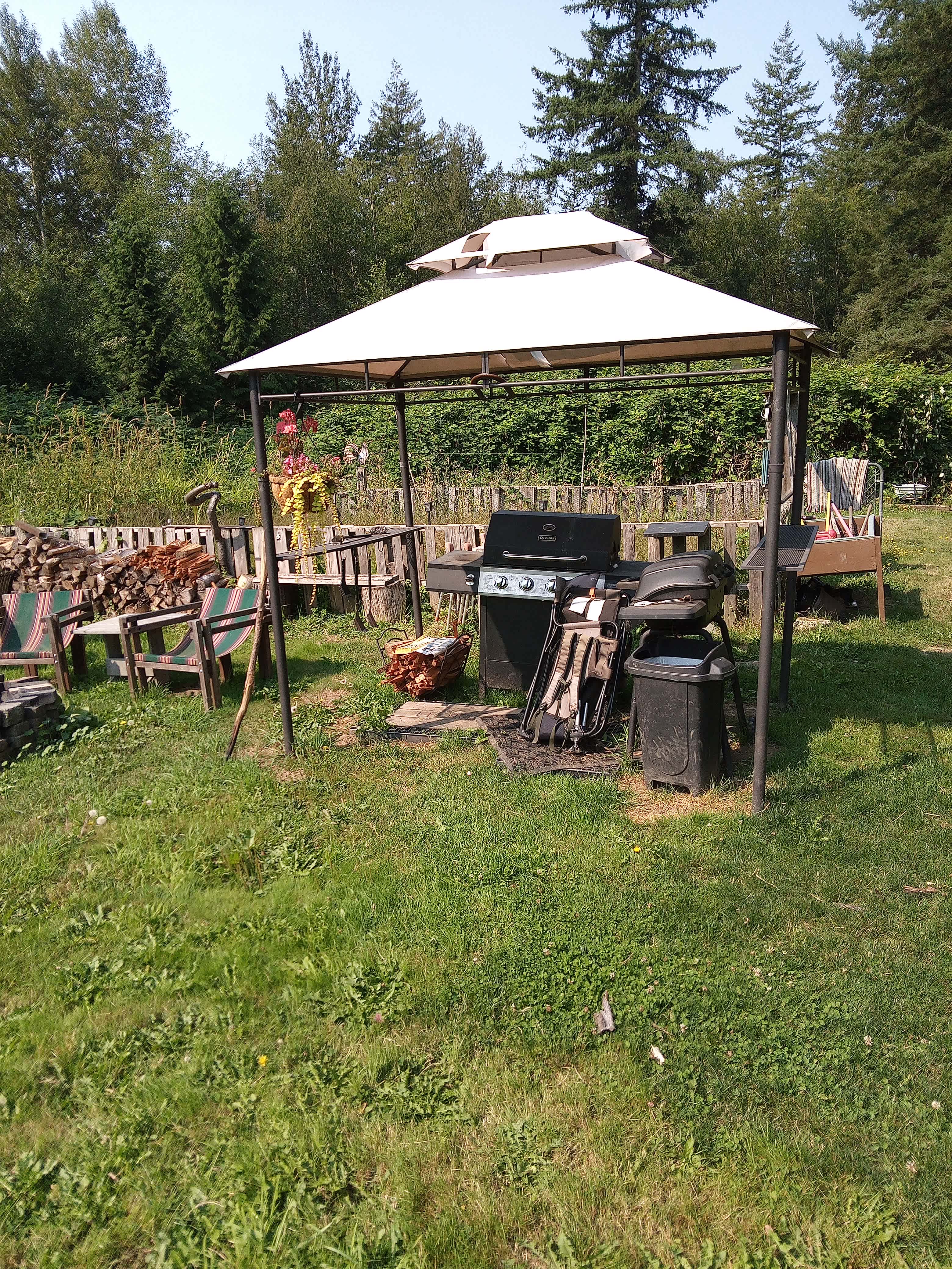 Tree house camp grounds
