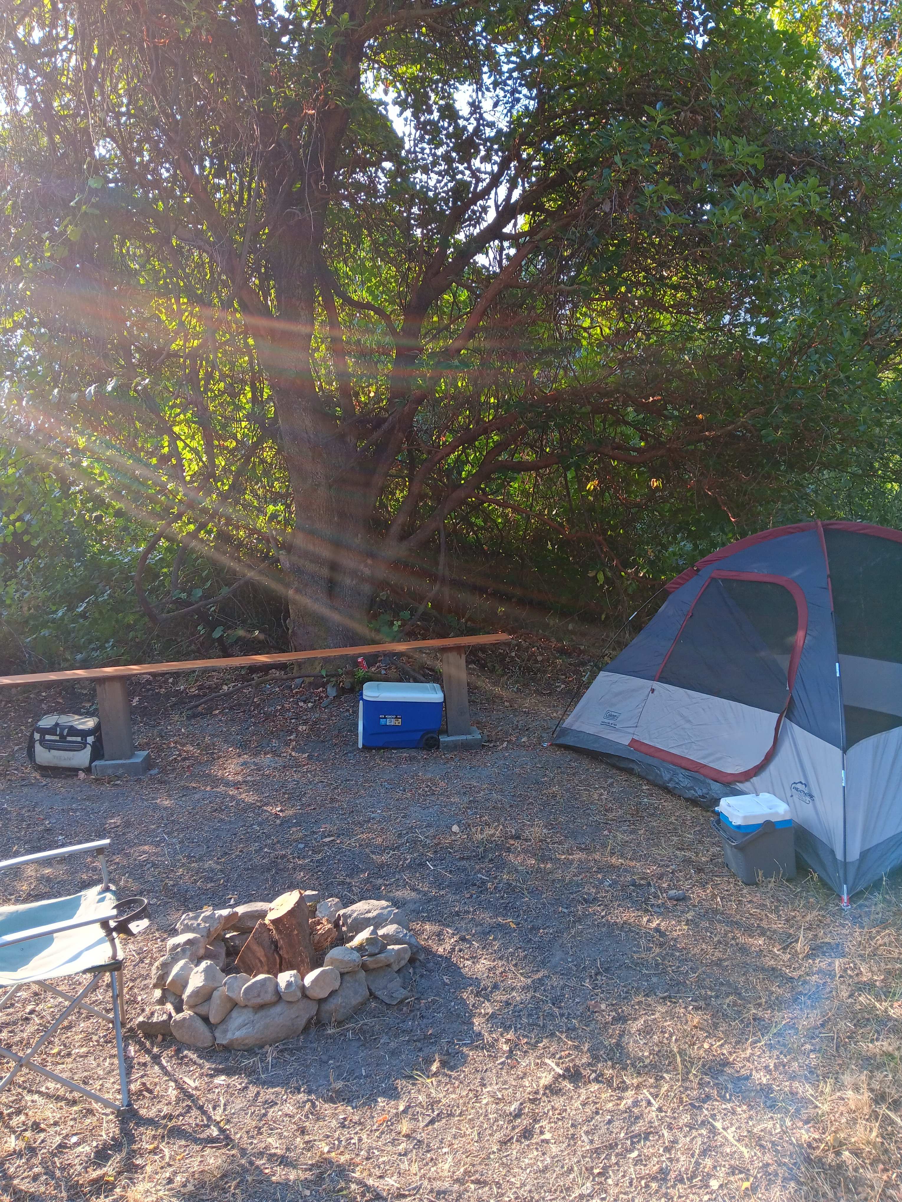 Picture of the site