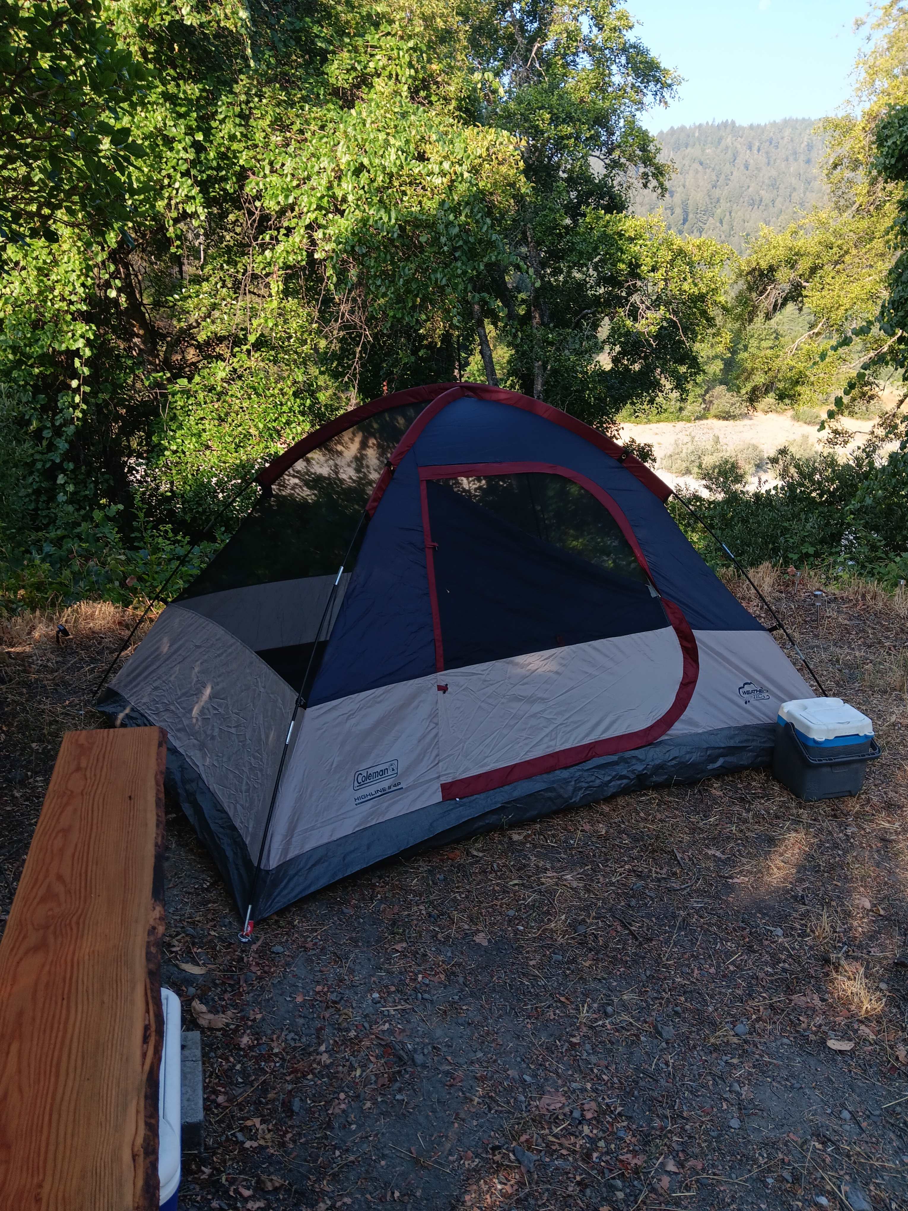 Picture of the site