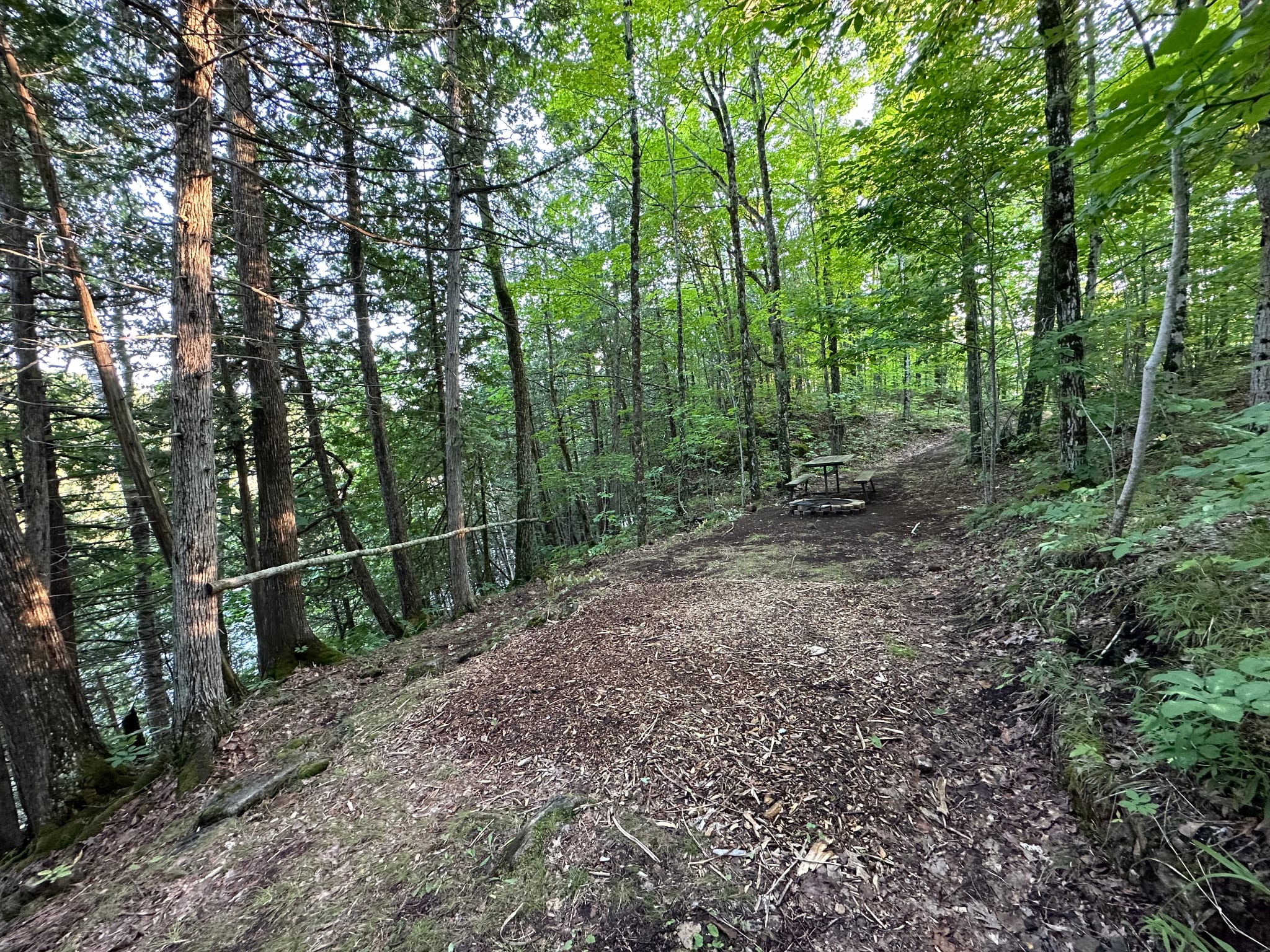 Picture of the site