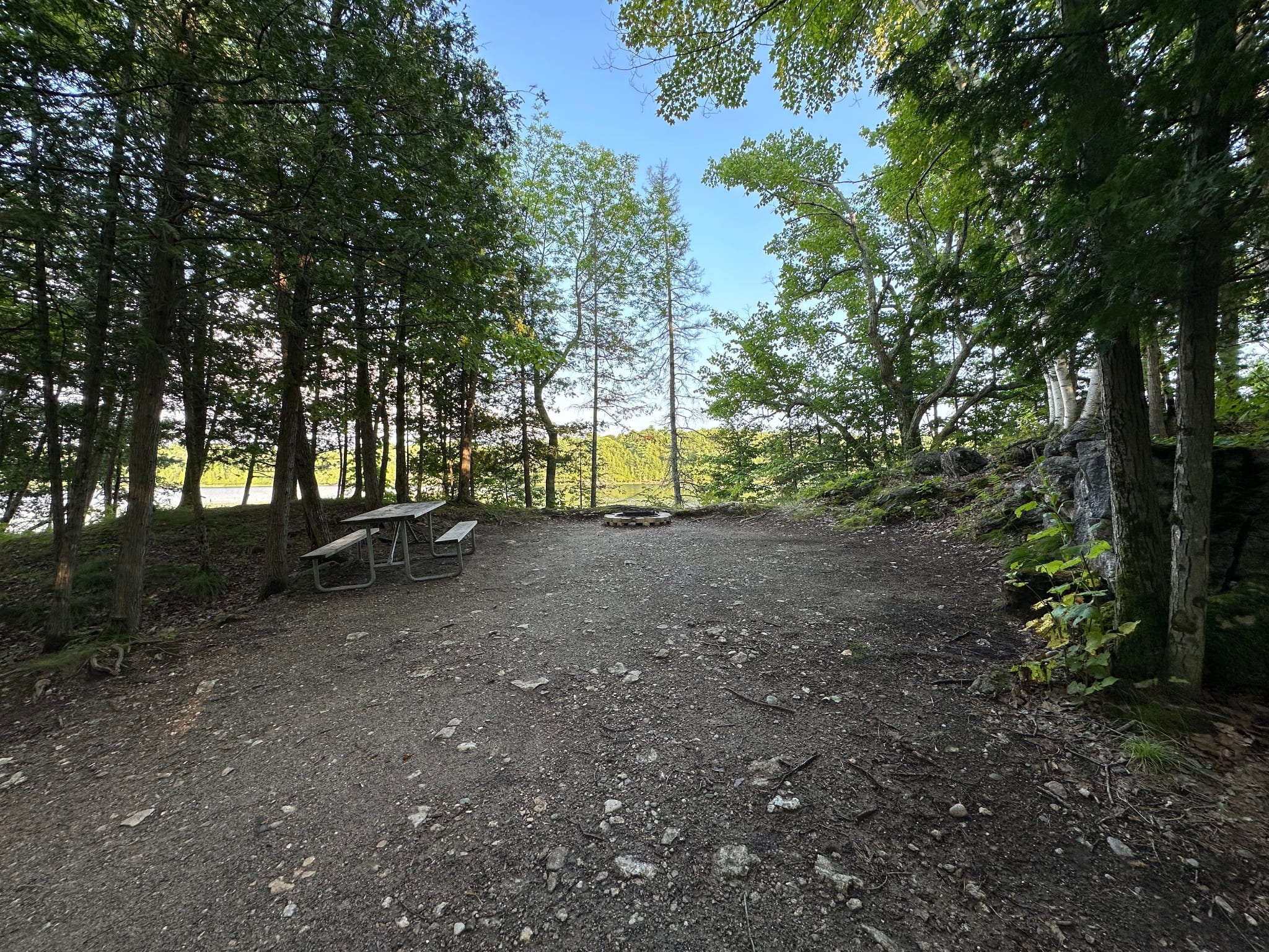 Picture of the site