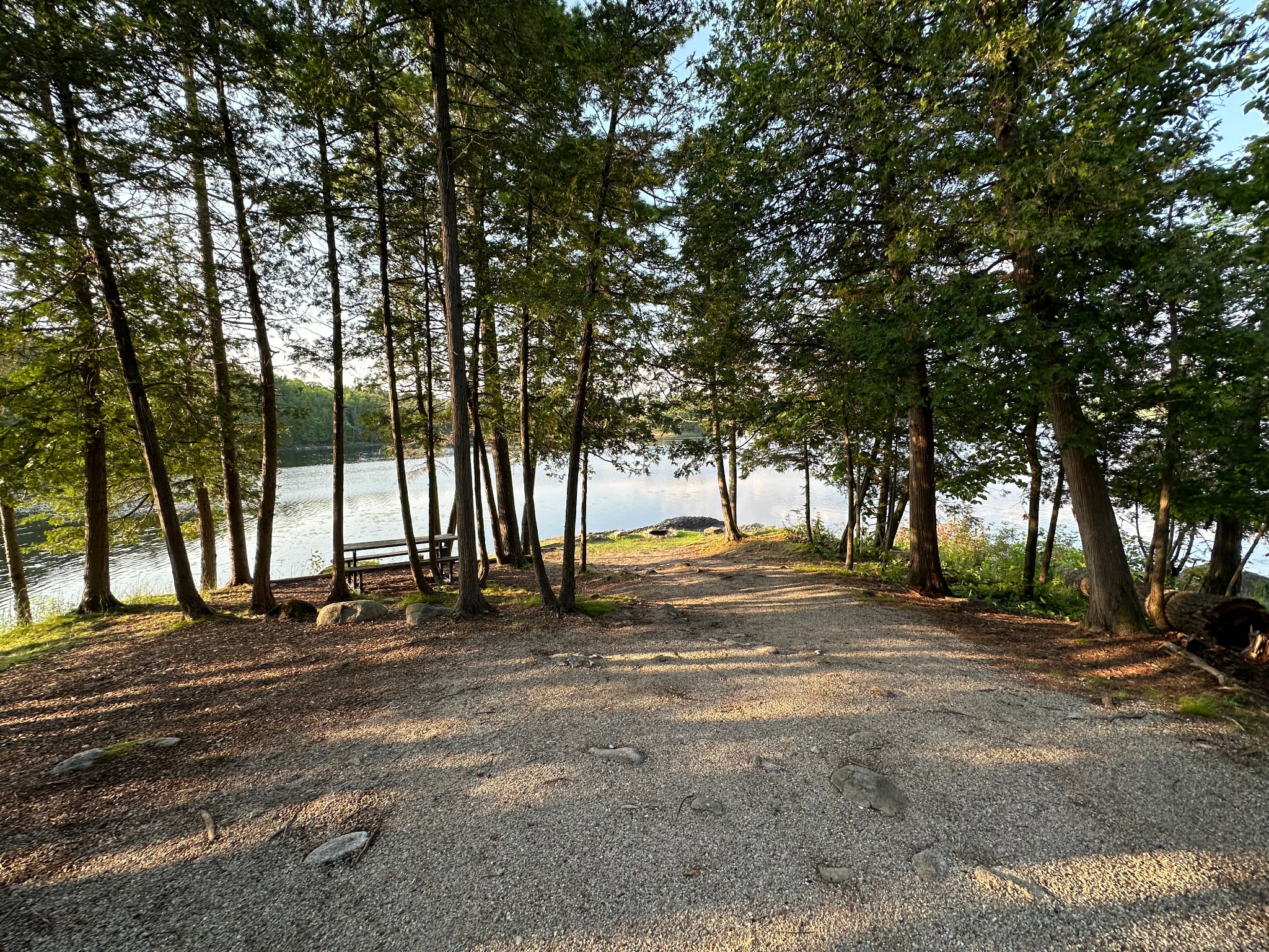 Picture of the site