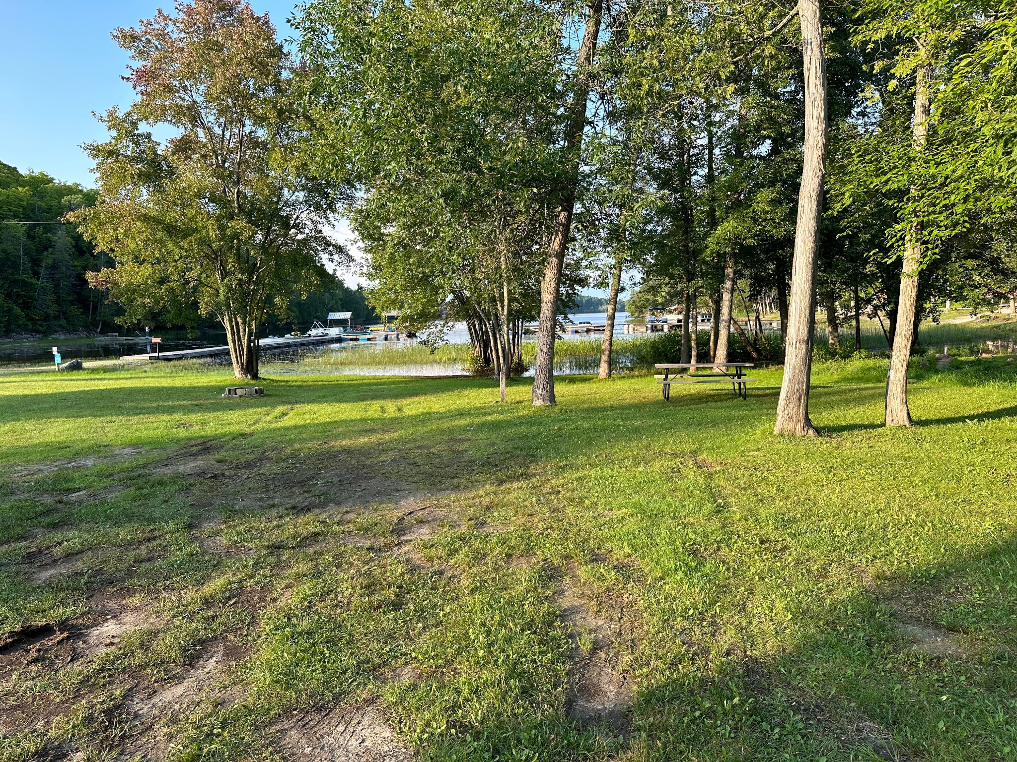 Picture of the site