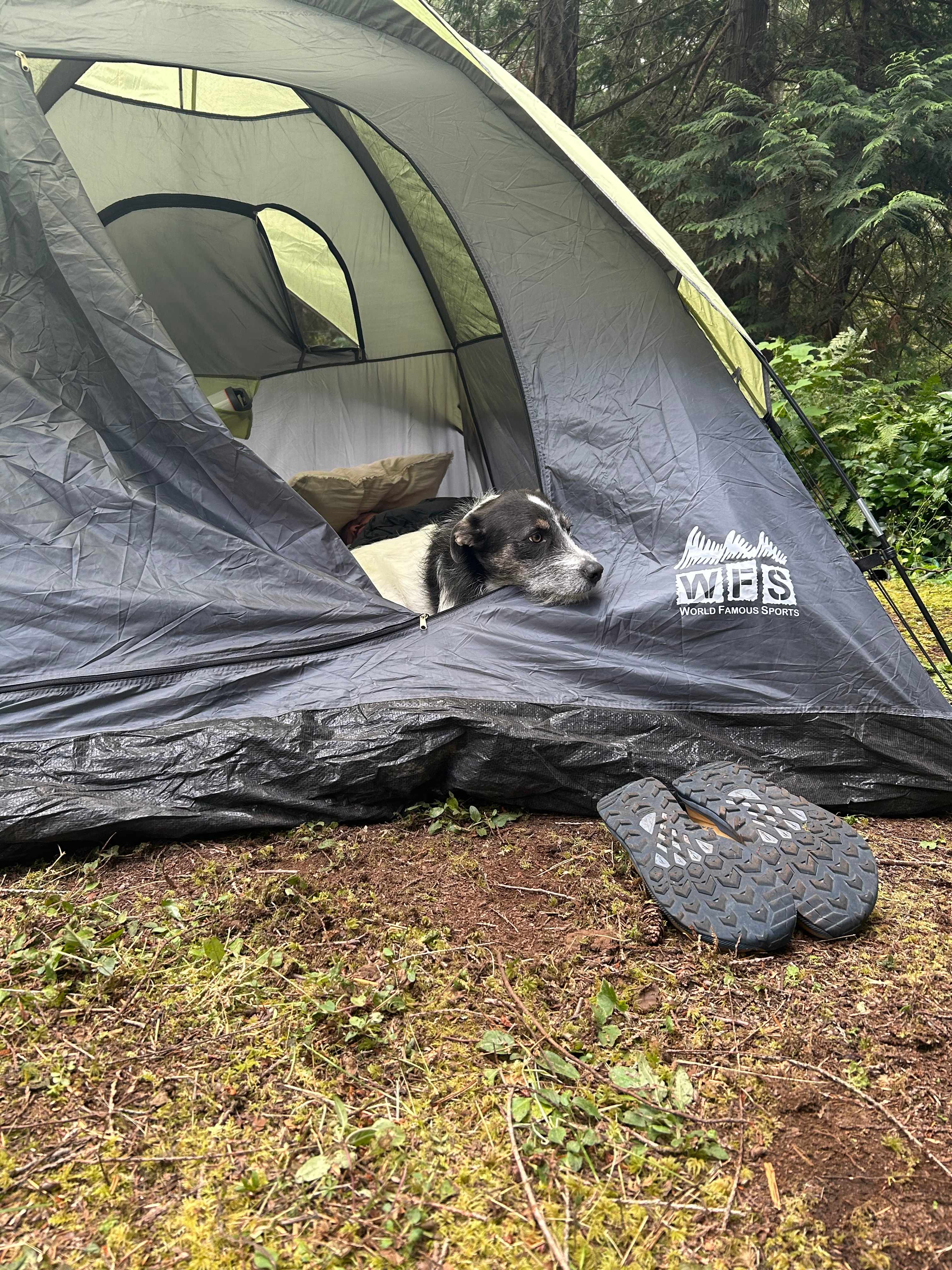 Secluded Orcas Camp
