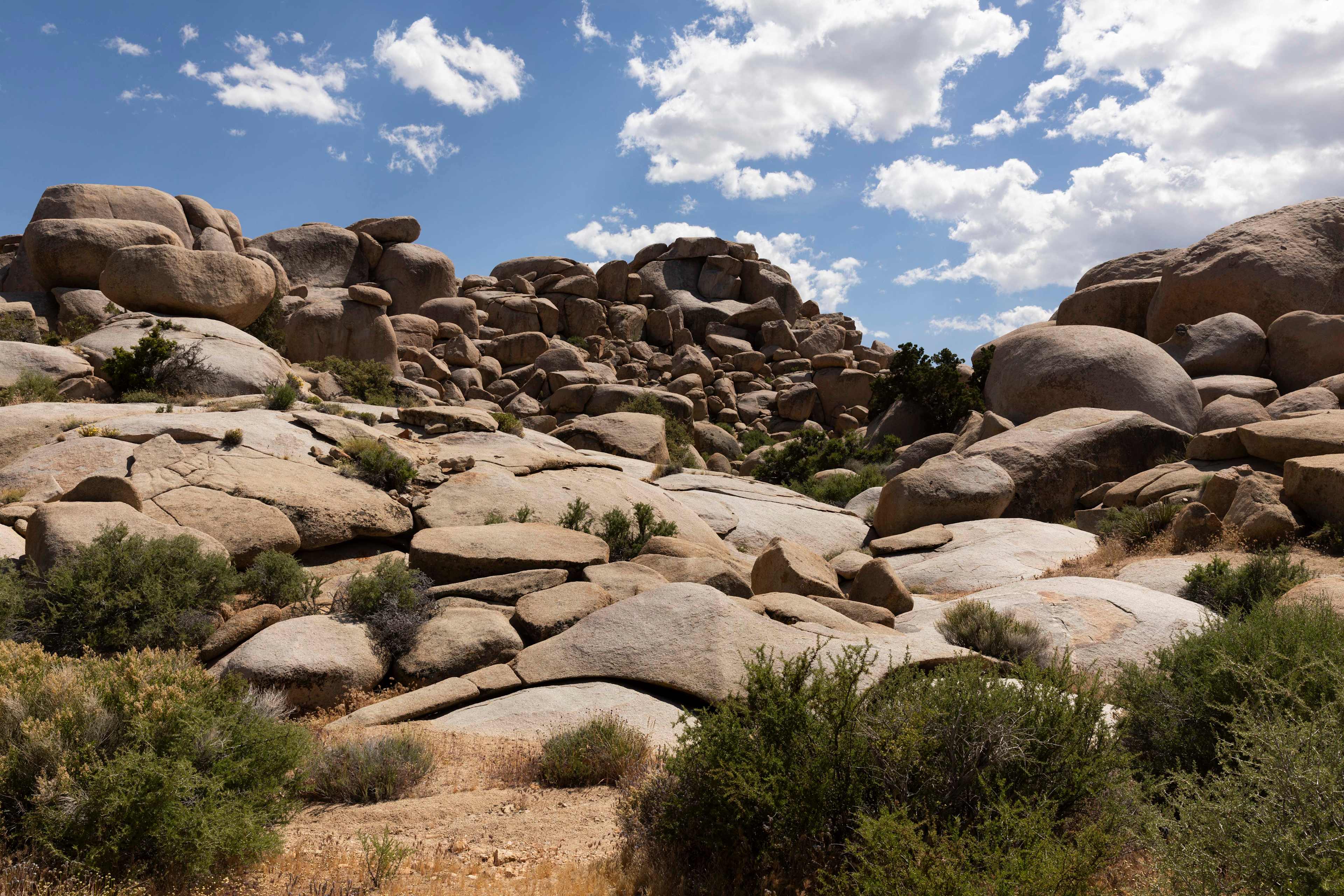 Boulder Gardens Sanctuary