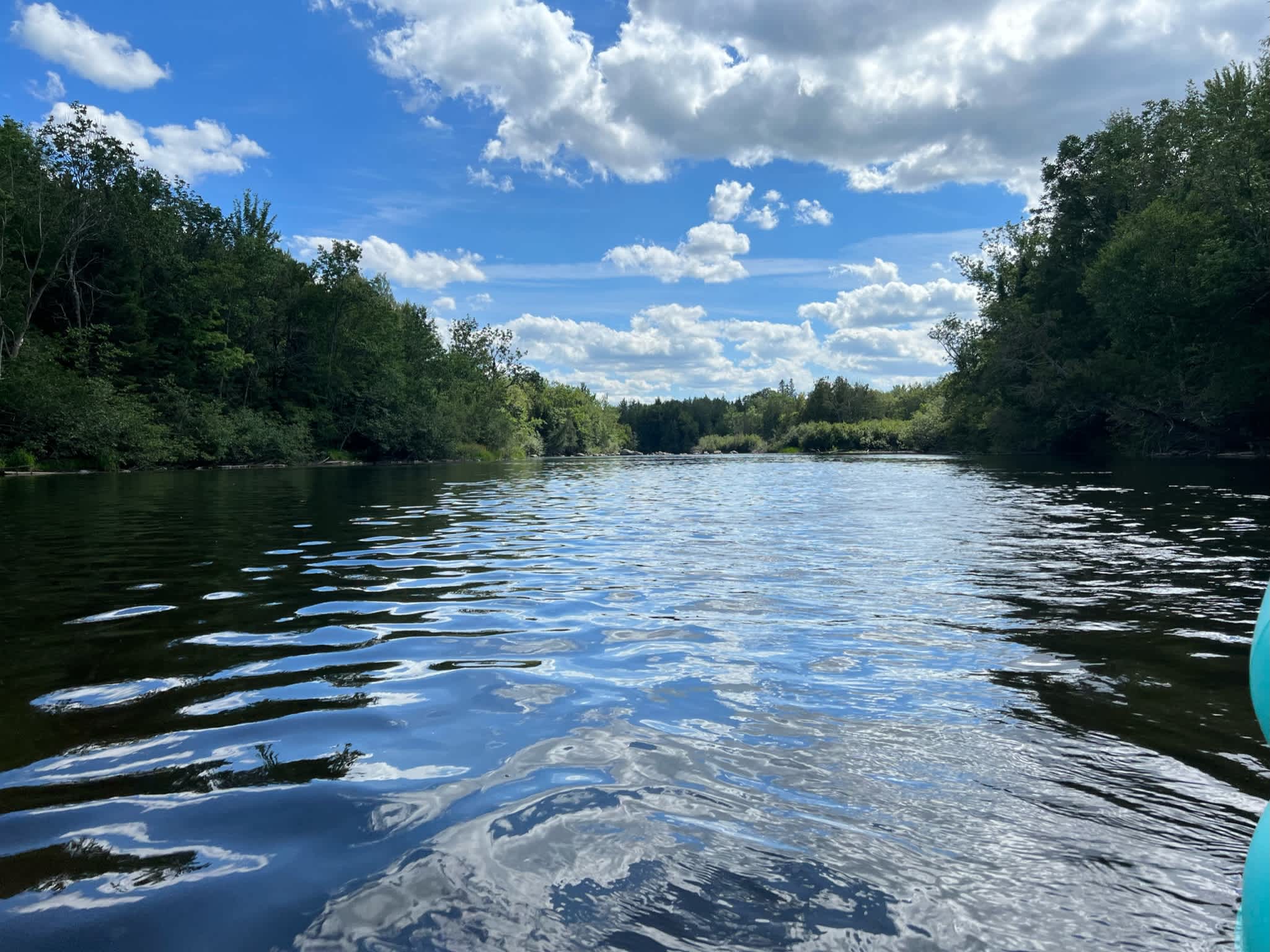 River Forest Campground & Rafting