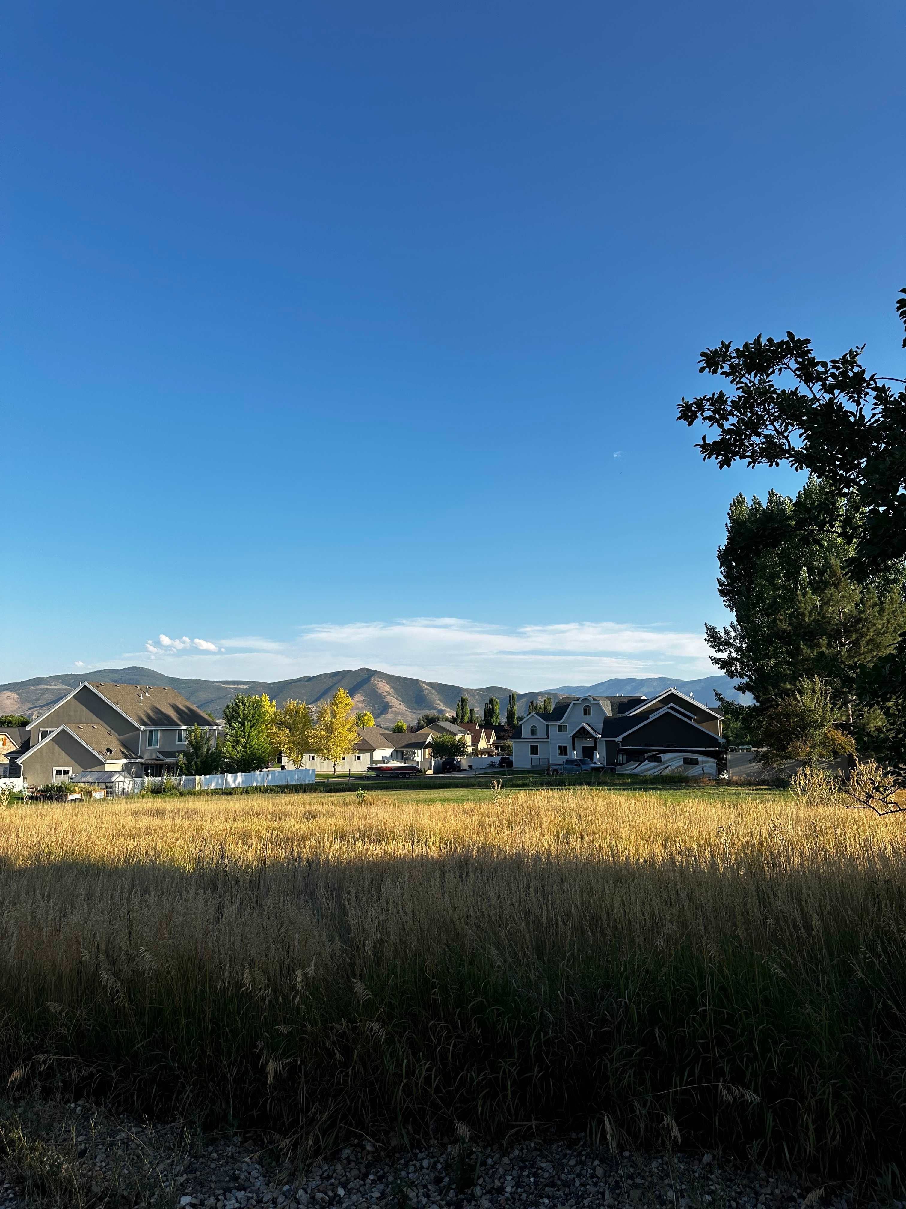 View from site