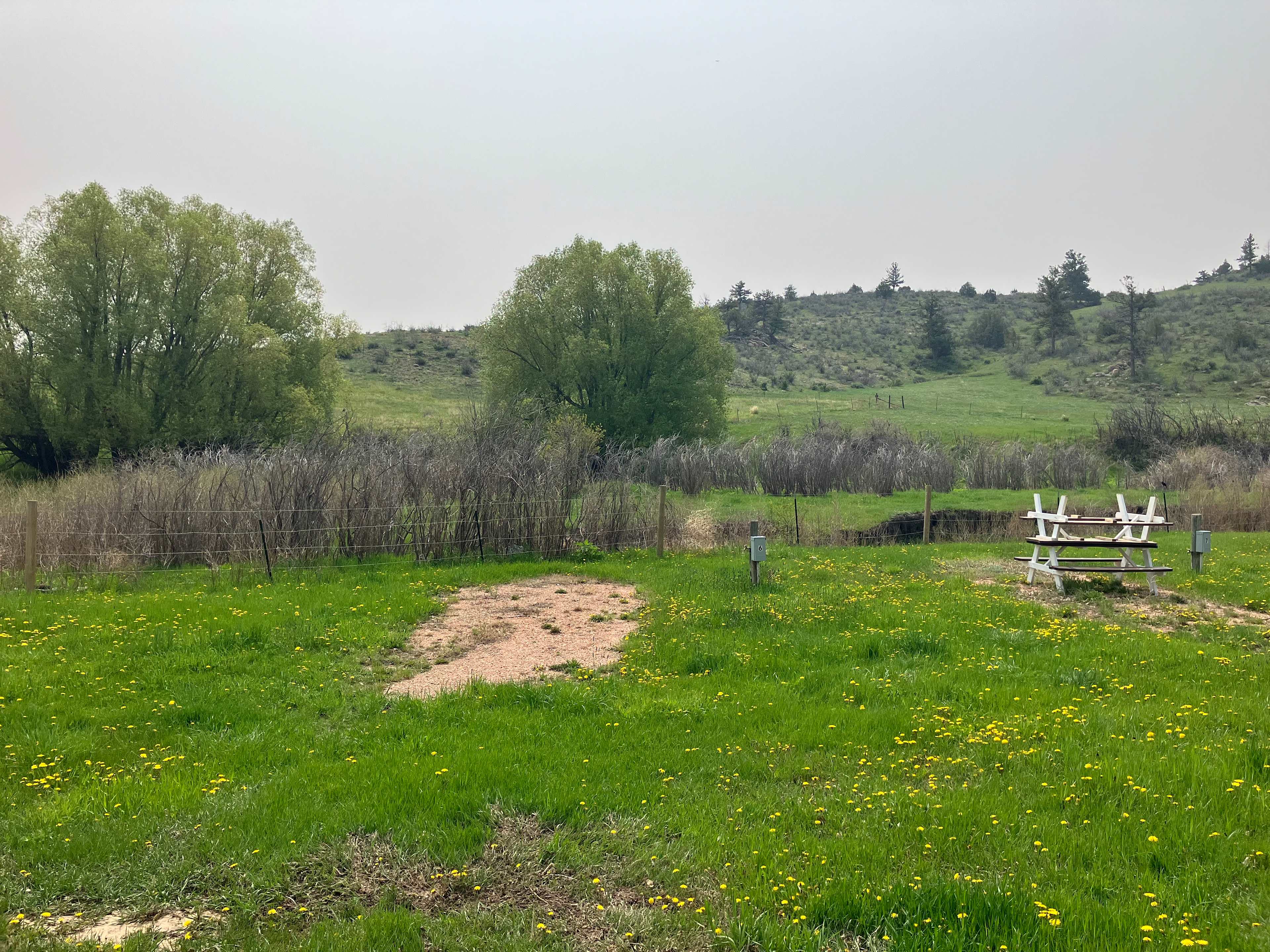 Picture of the site