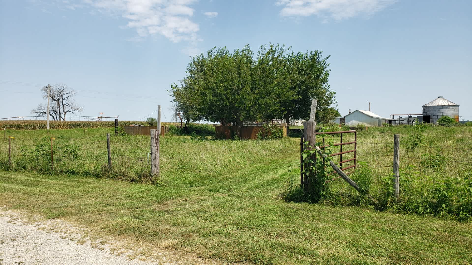 Picture of the site