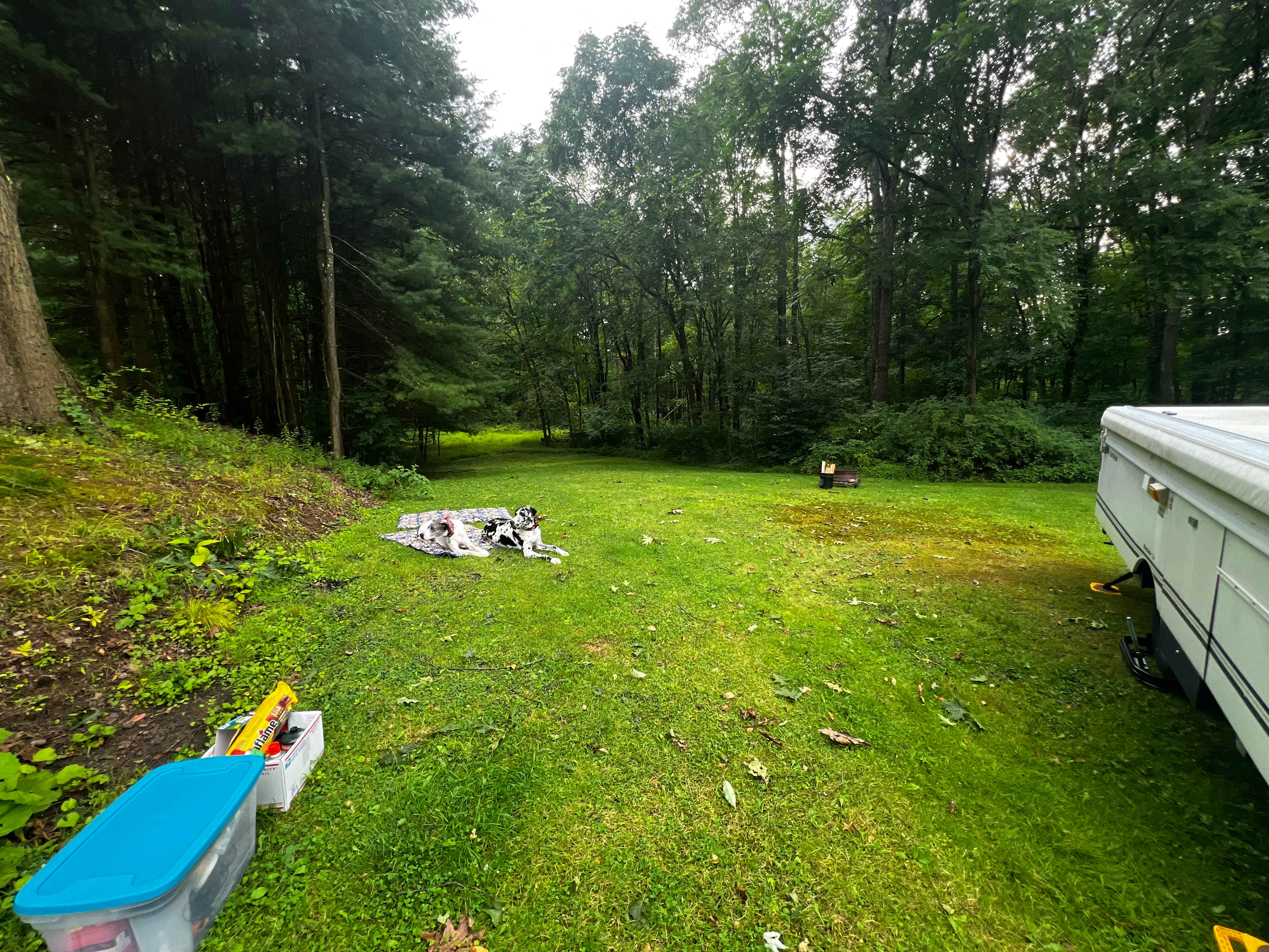 Picture of the site
