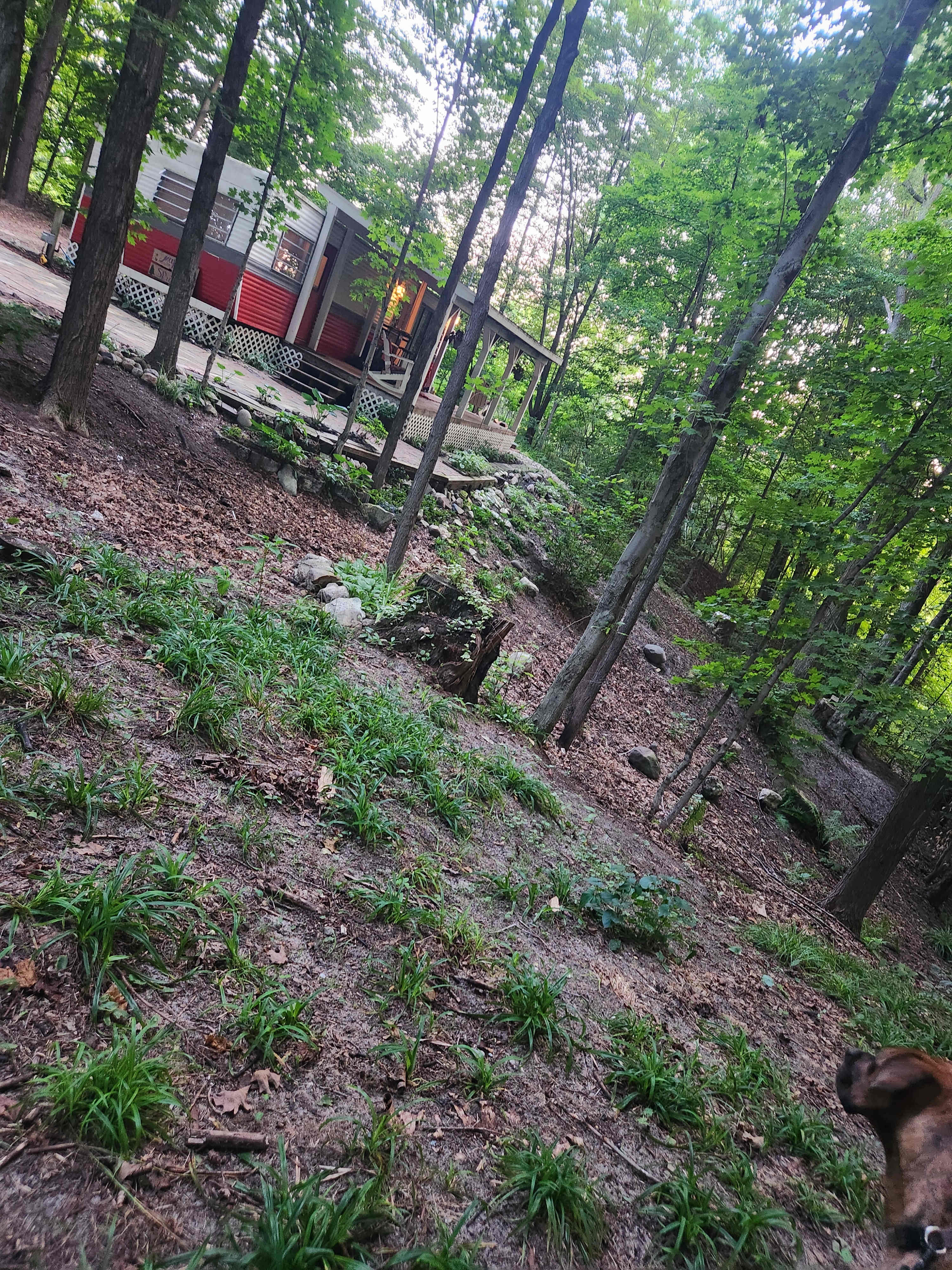 Maplehill Farm Adventures