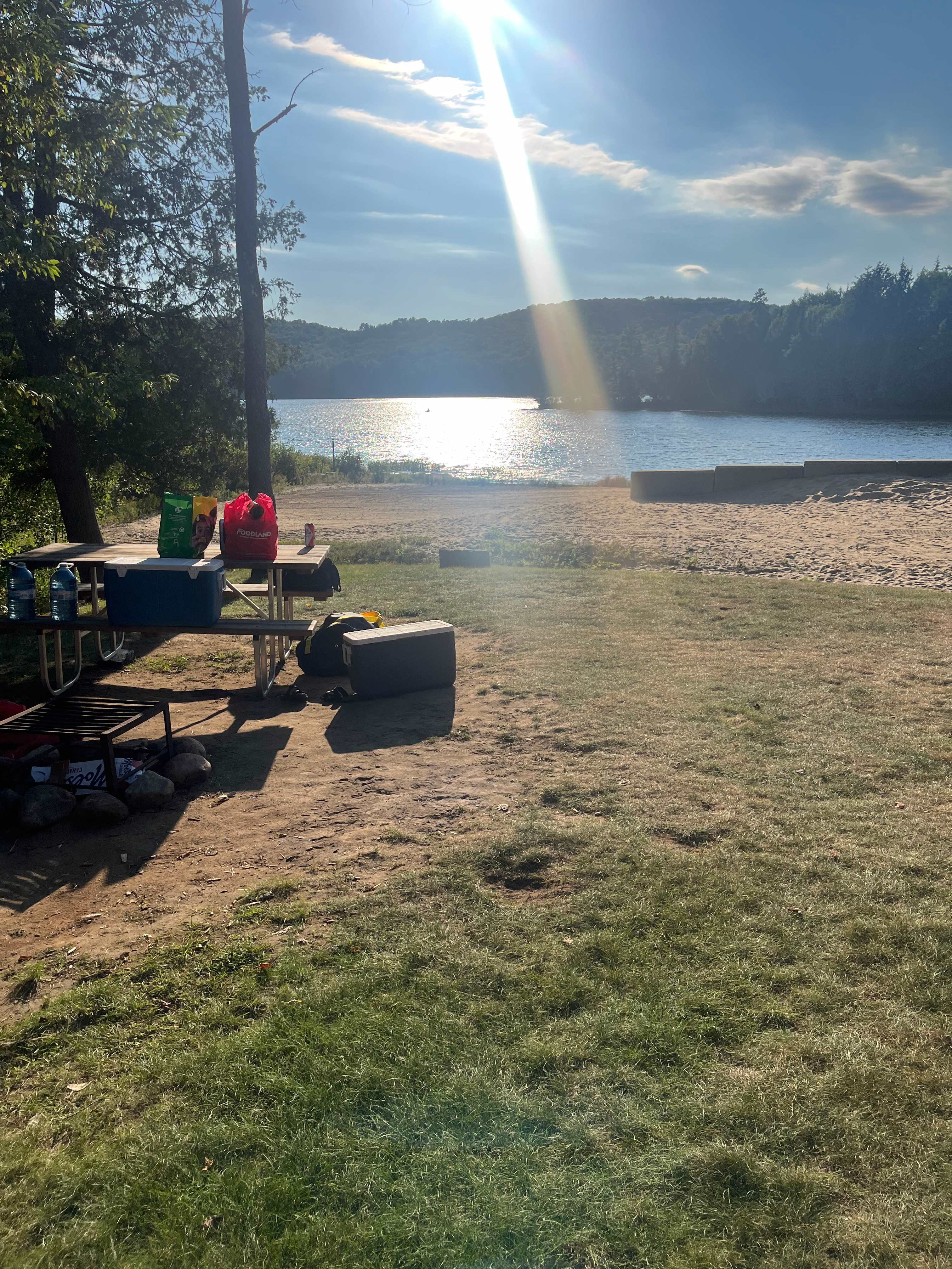 Picture of the site