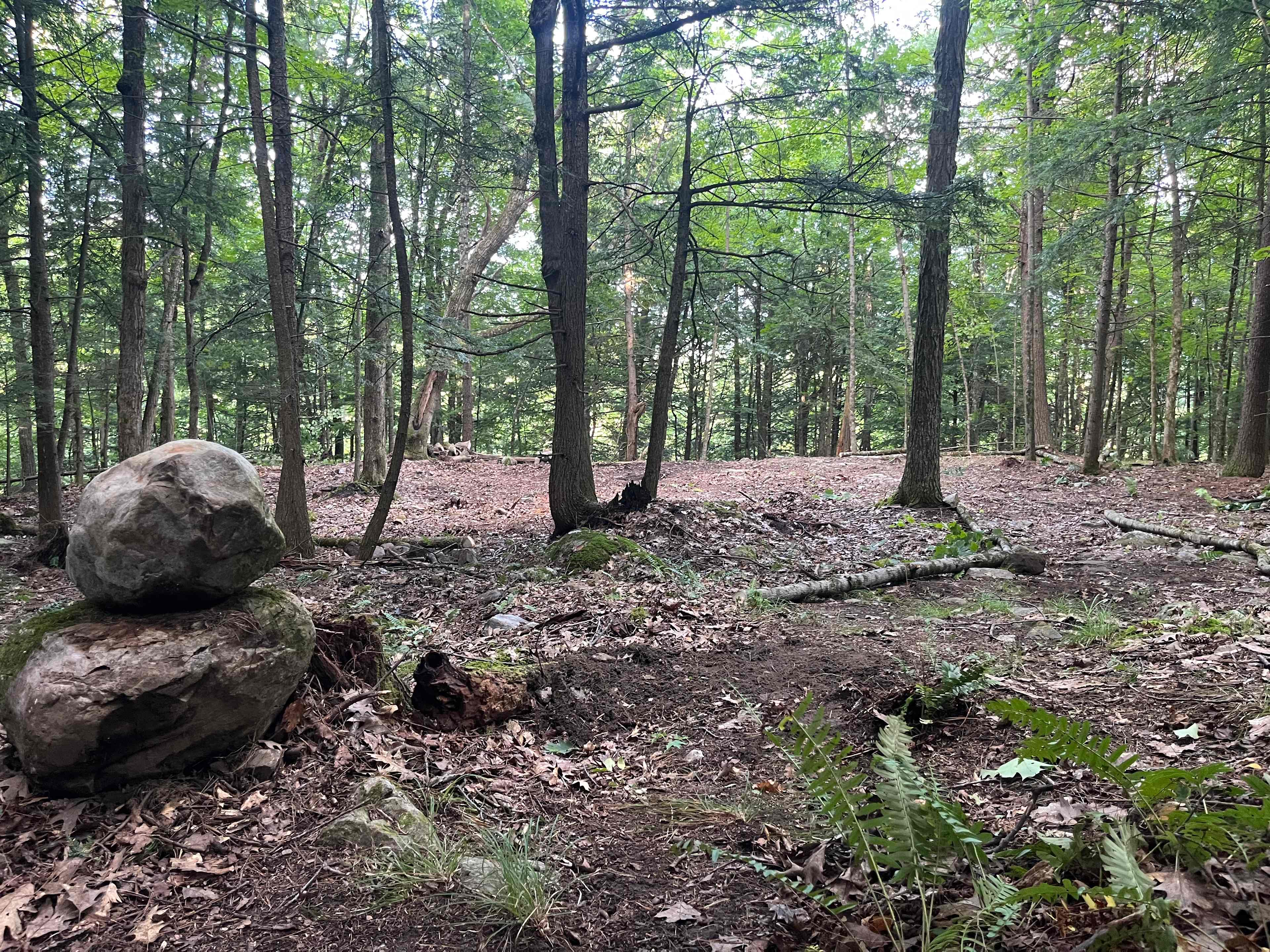 Pike Brook Camping