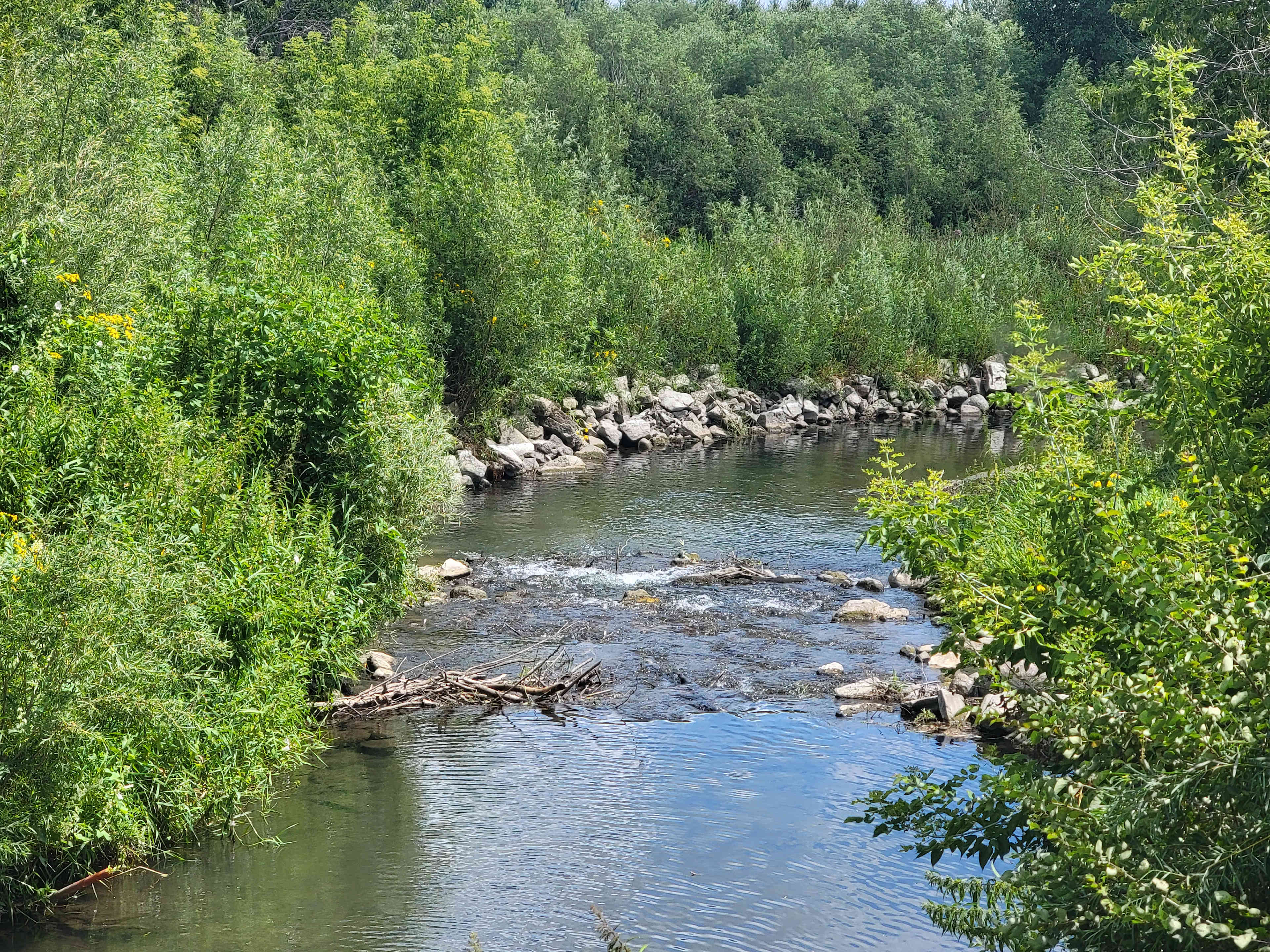 Pine River Campsites