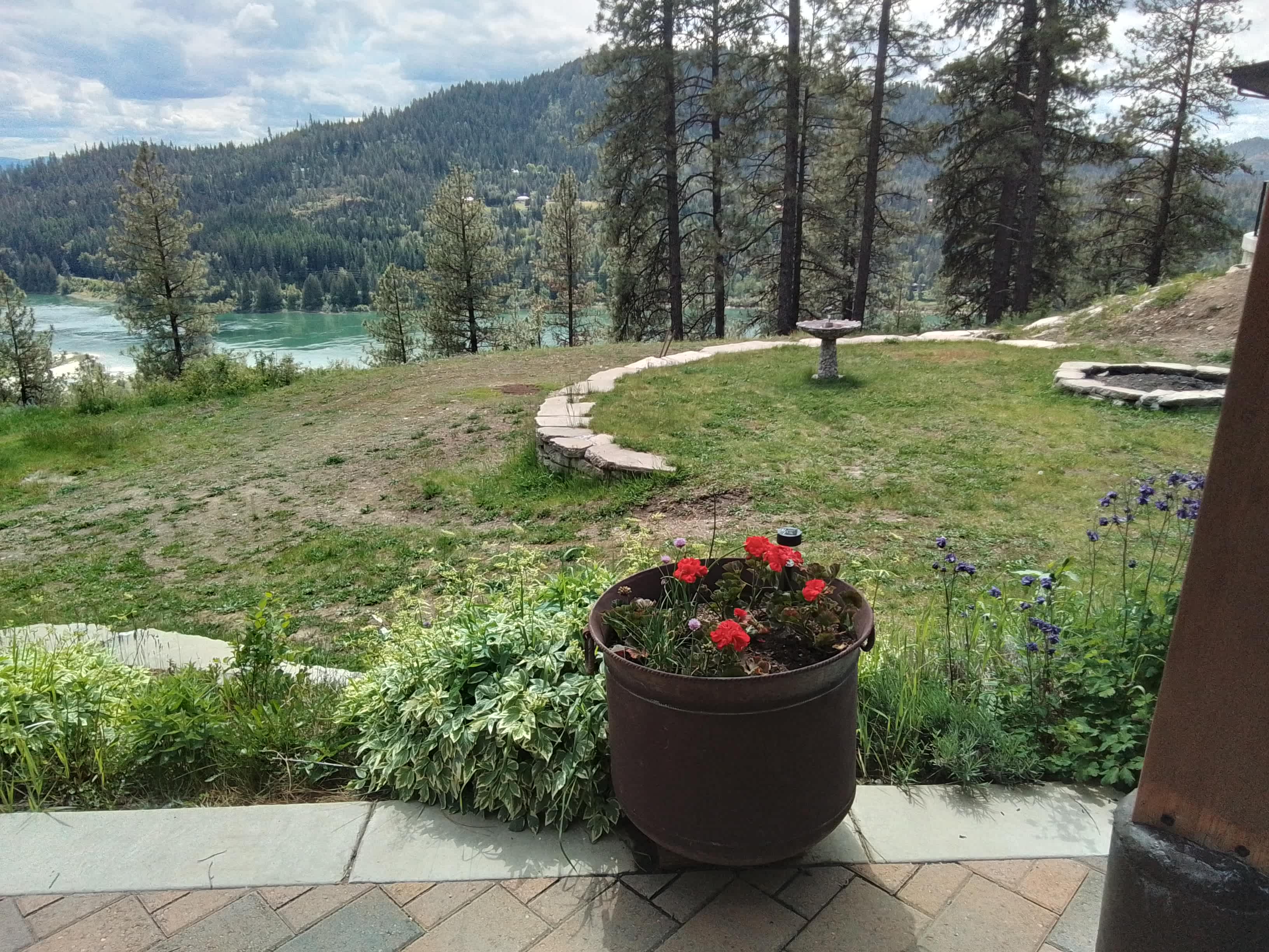 Picture of the site