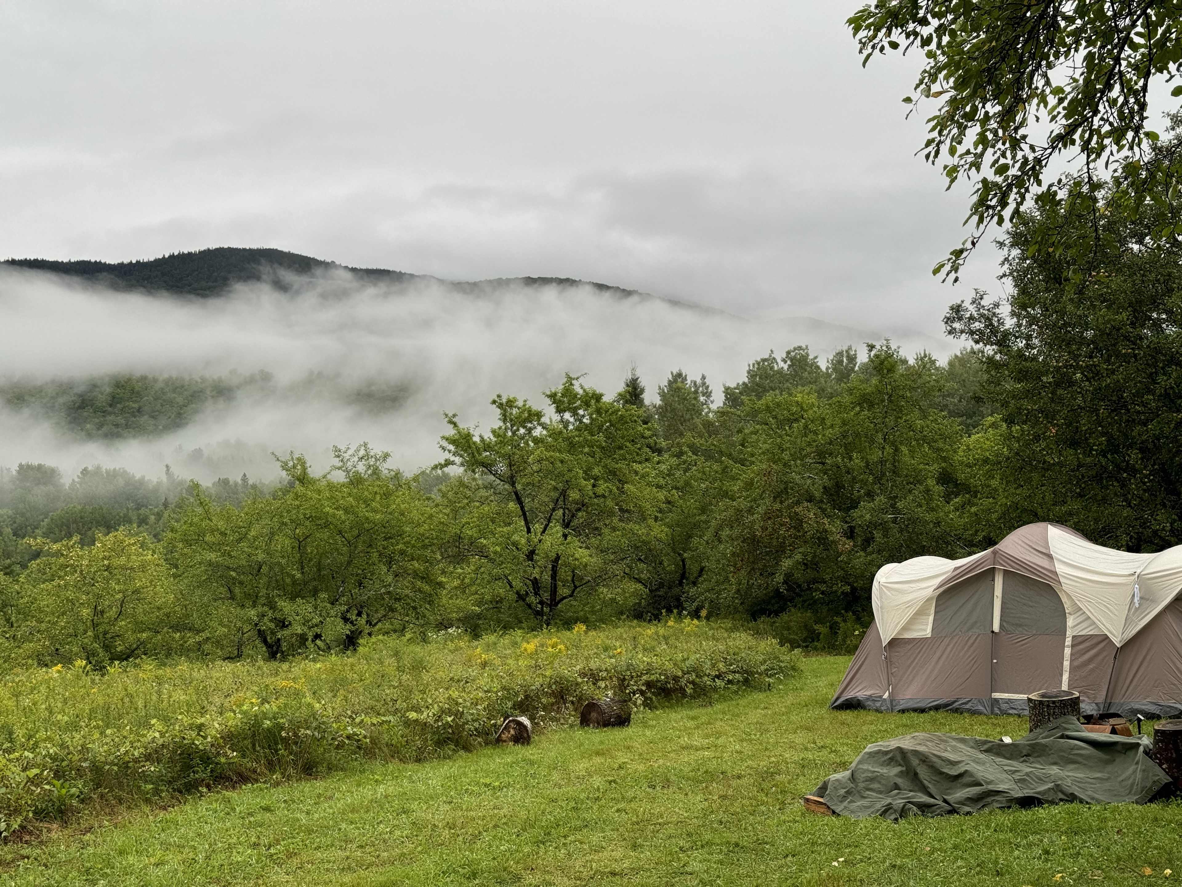 Mead Hill at Mount Cabot Maple