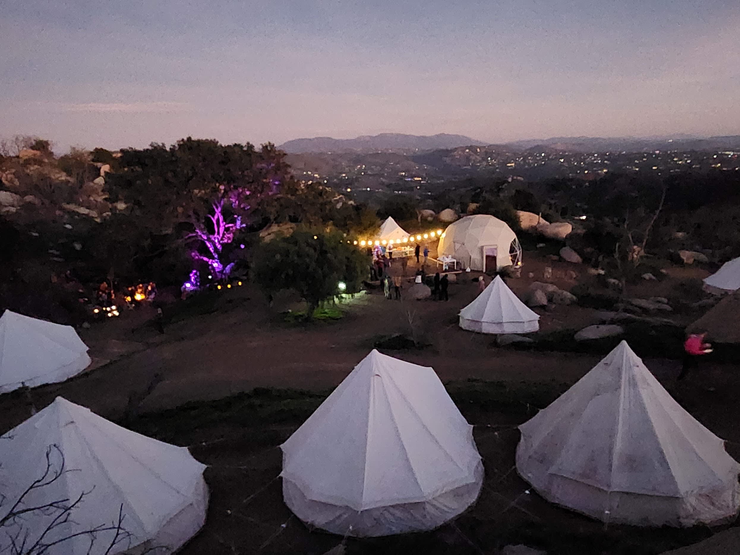 Picture of the site