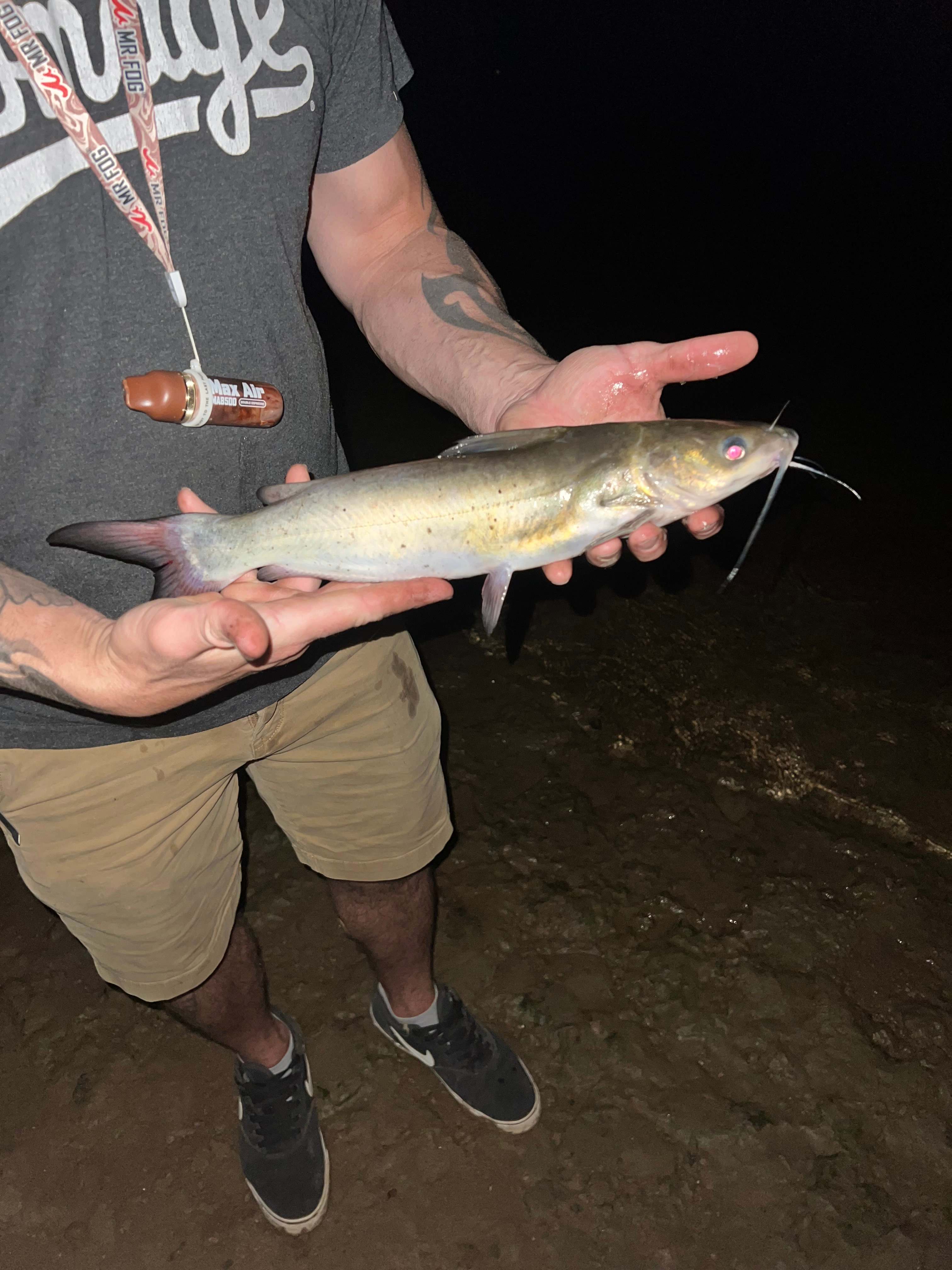 Ohio River Private Paradise