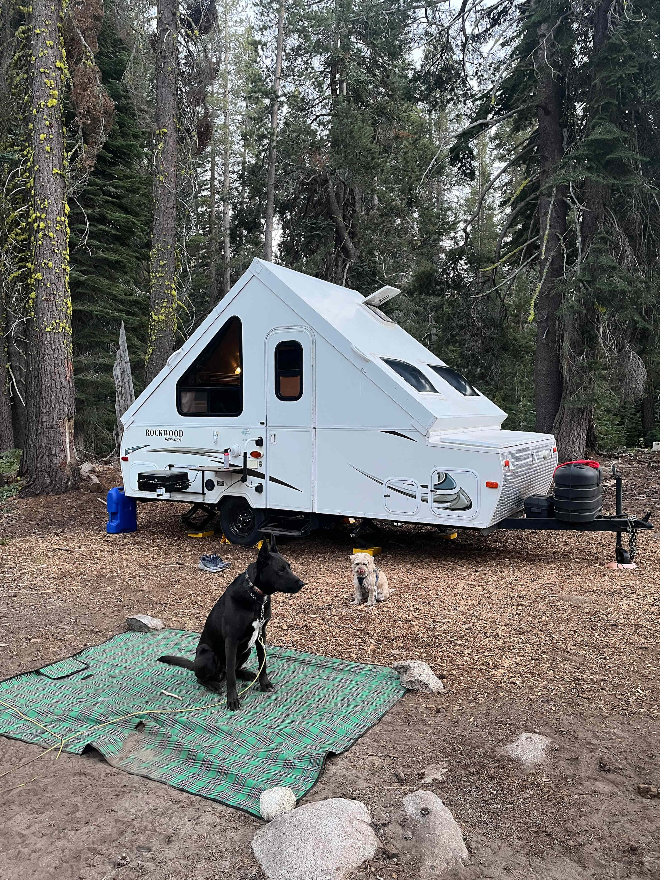 Site #12 (back in - easily fit our pop-up