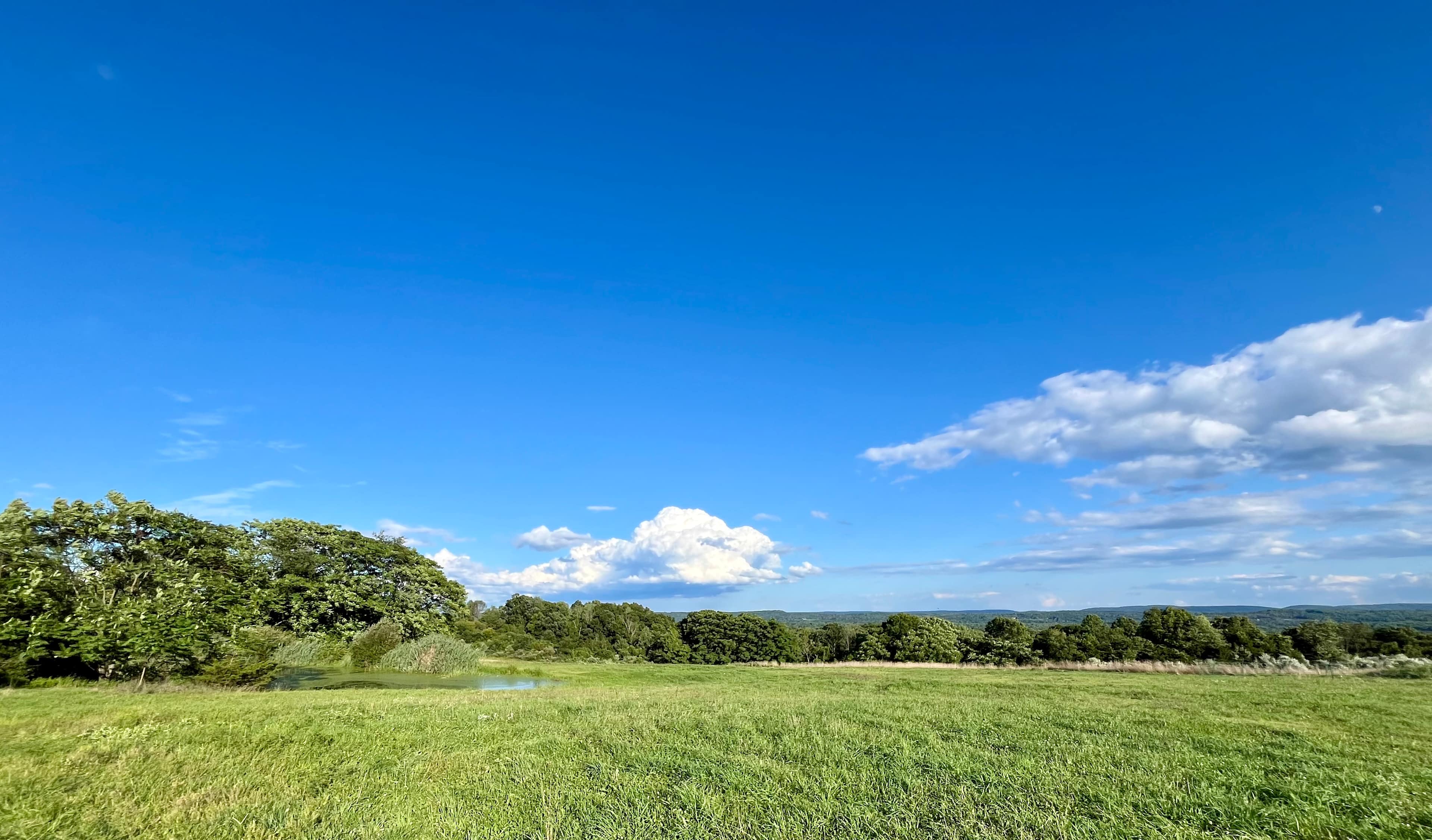 Pyour Pastures
