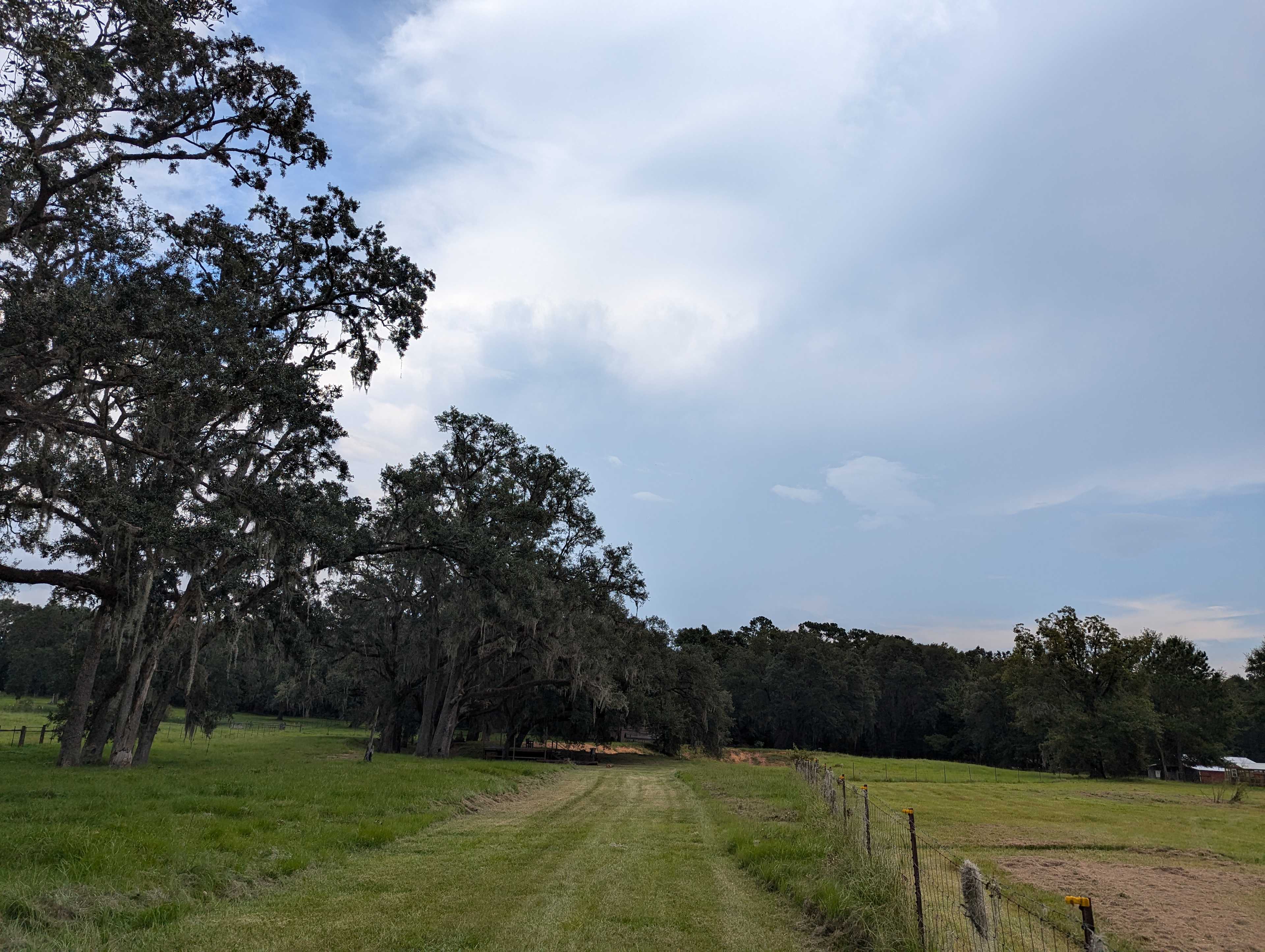 Golden Acres Ranch