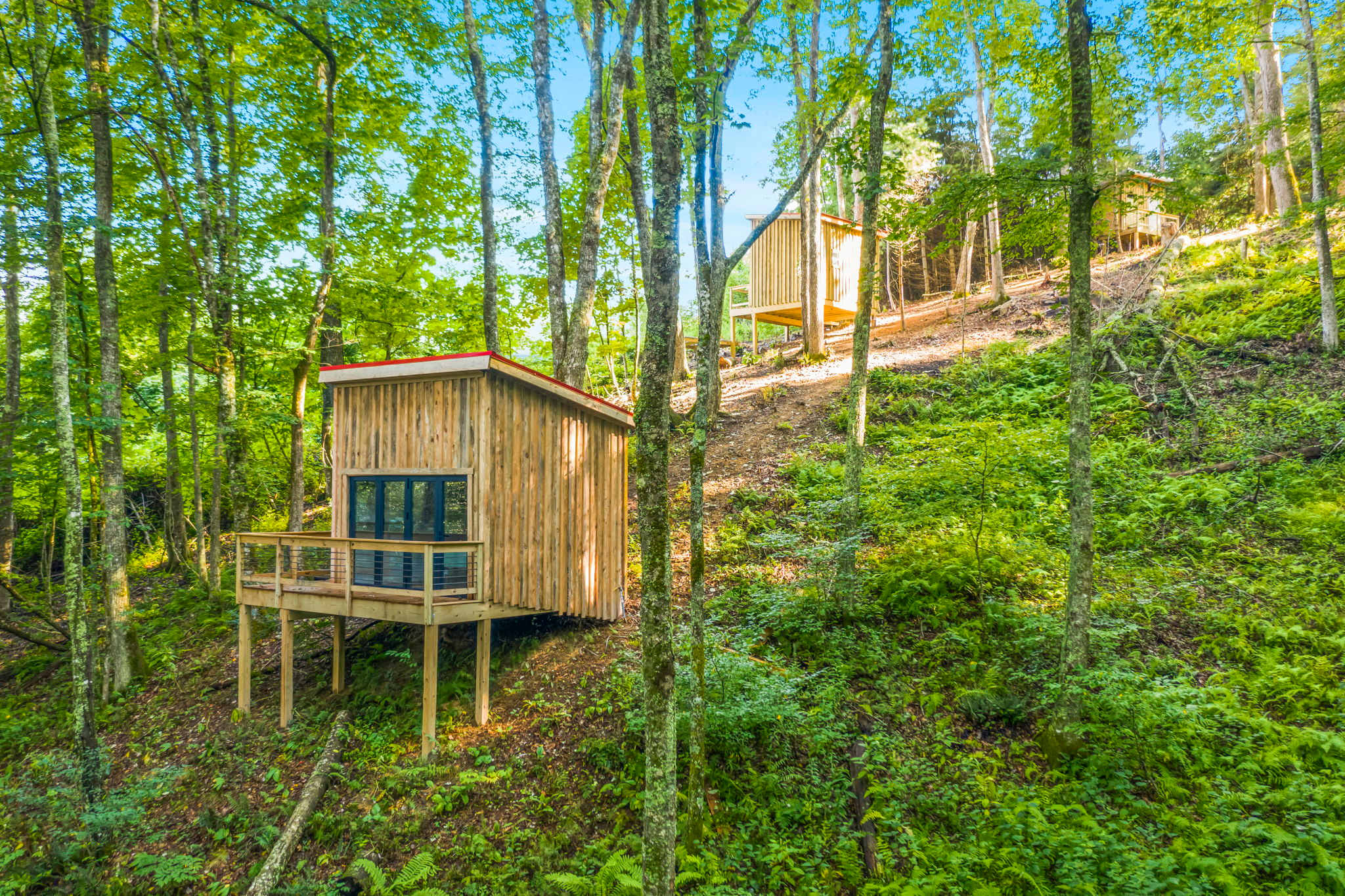 Blue Ridge Parkway - Campground