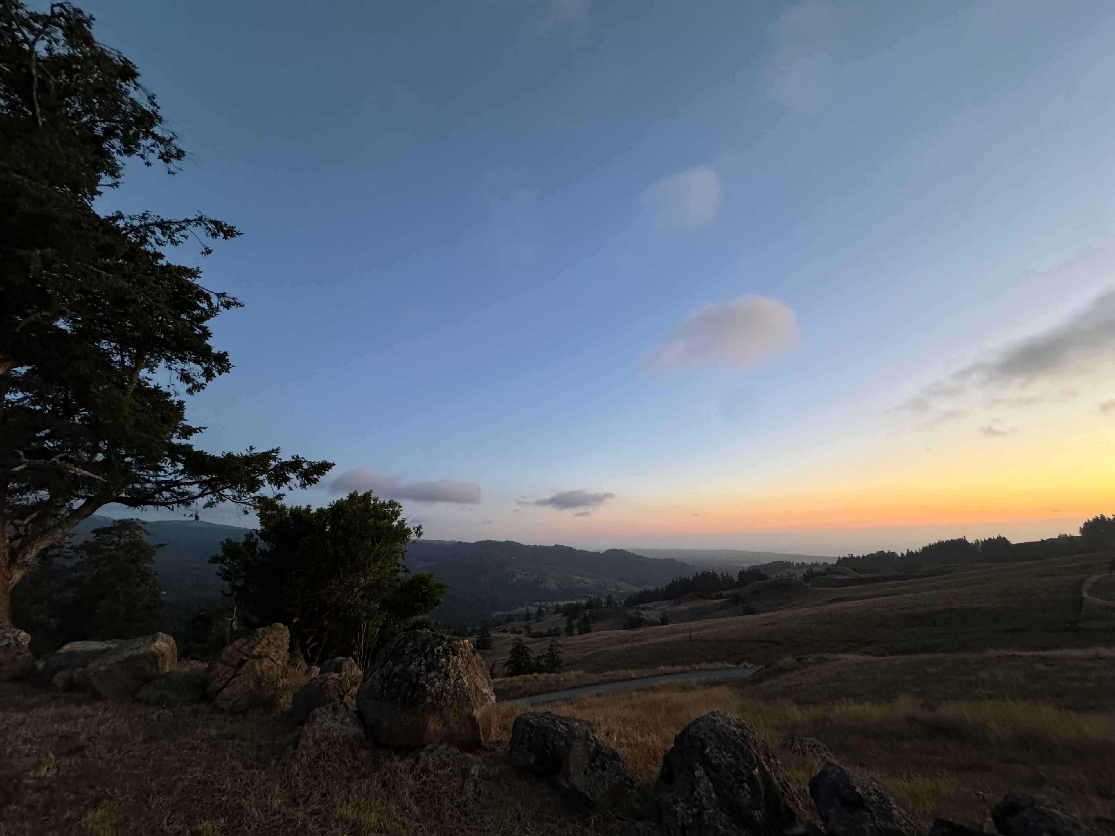 Pacific Pastures