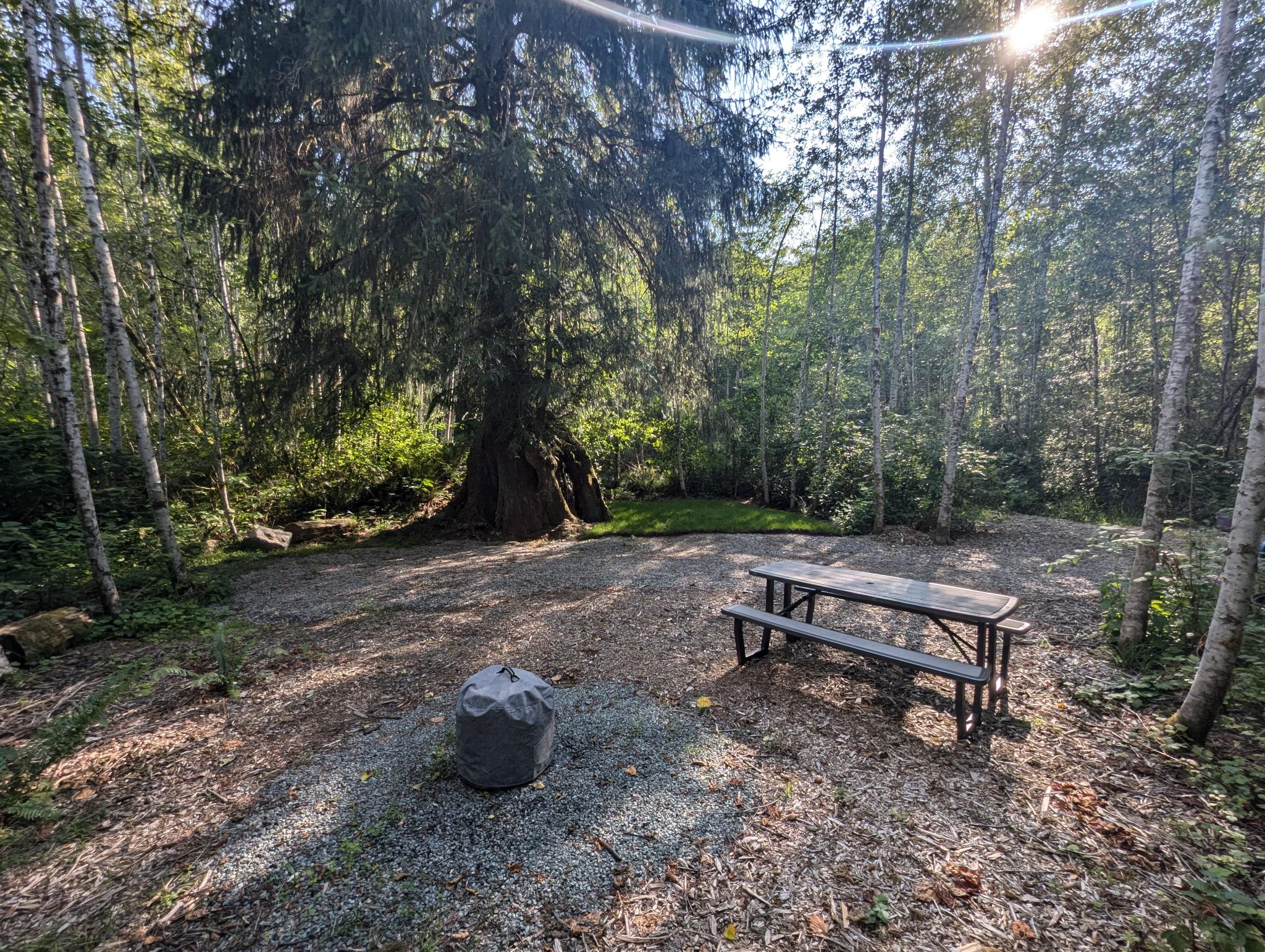 Picture of the site