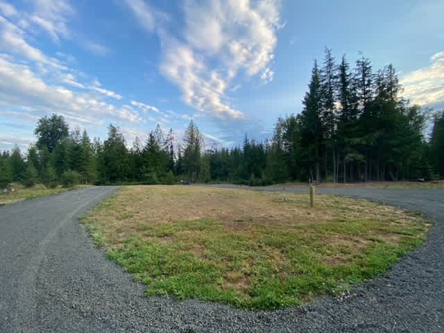 Common area. Encircled by the driveway
